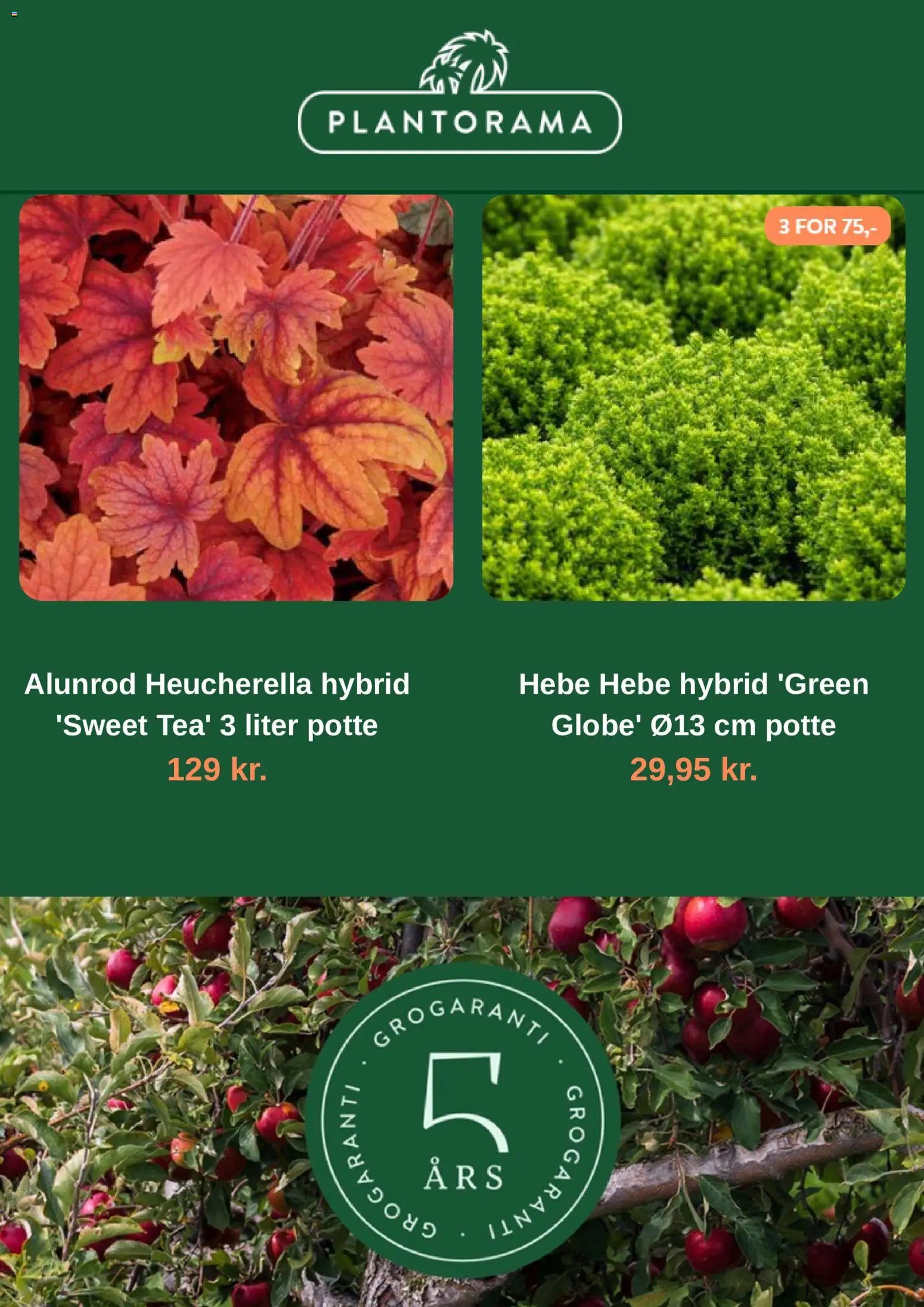 Nye Plantorama tilbud fra 19/10/2026