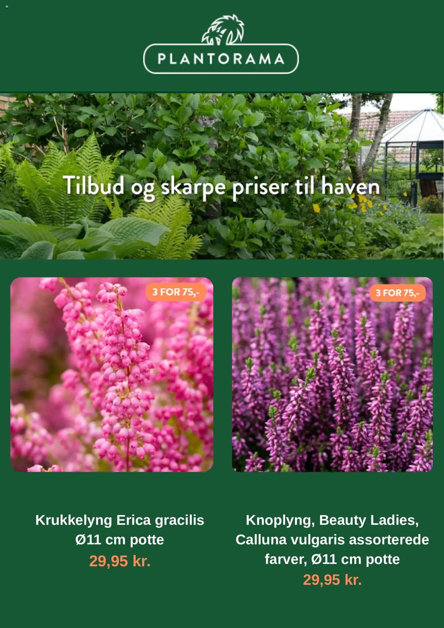 Nye Plantorama tilbud fra 19/10/2026