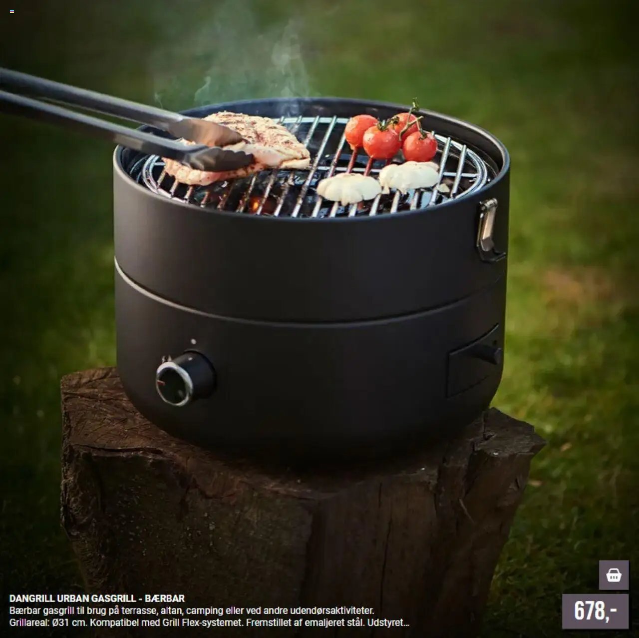 Harald Nyborg tilbudsavis fra 01/01/2026 Grill