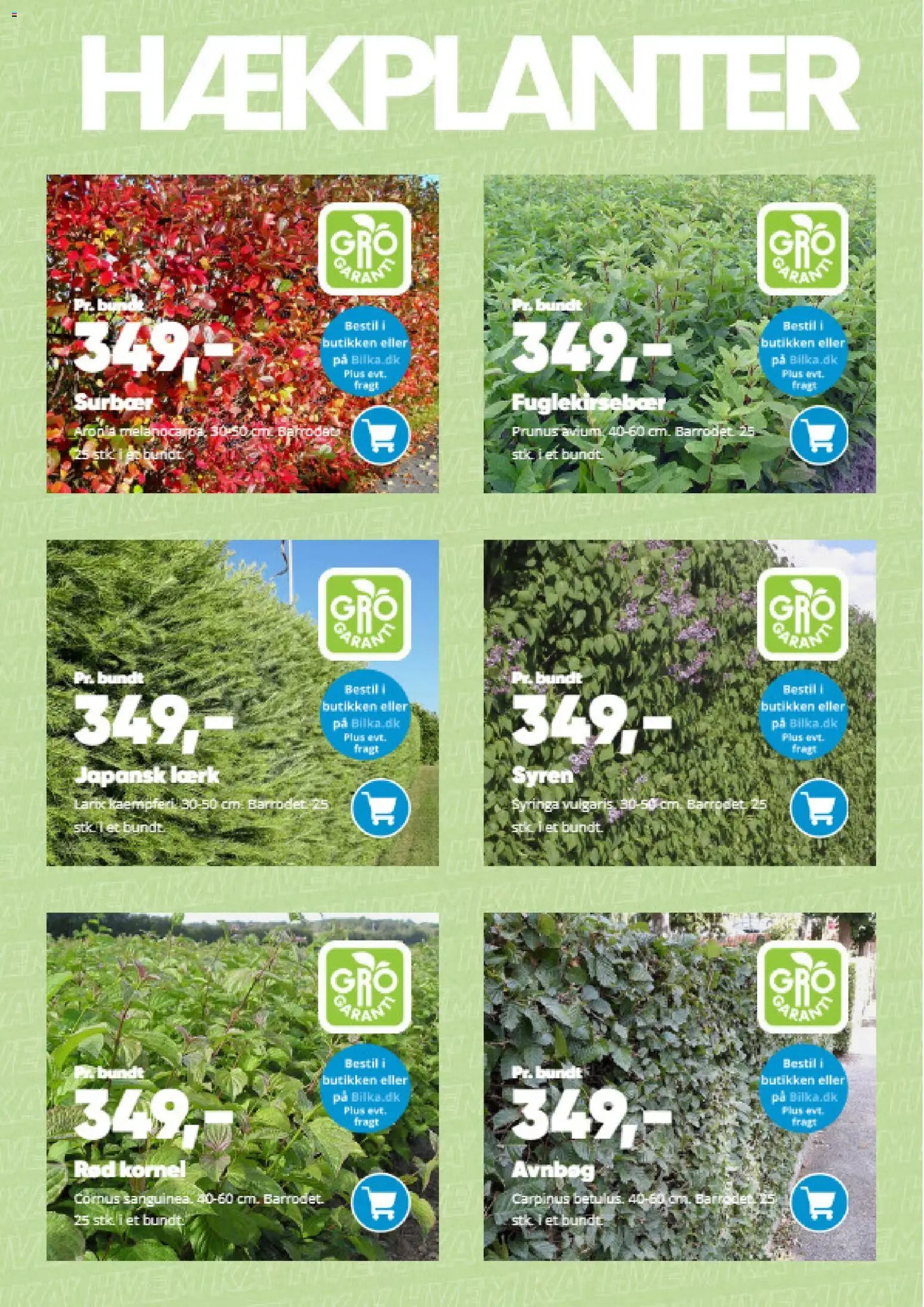 Bilka tilbudsavis fra 09/03/2026 Bilka - Have katalog (2026-03-09)