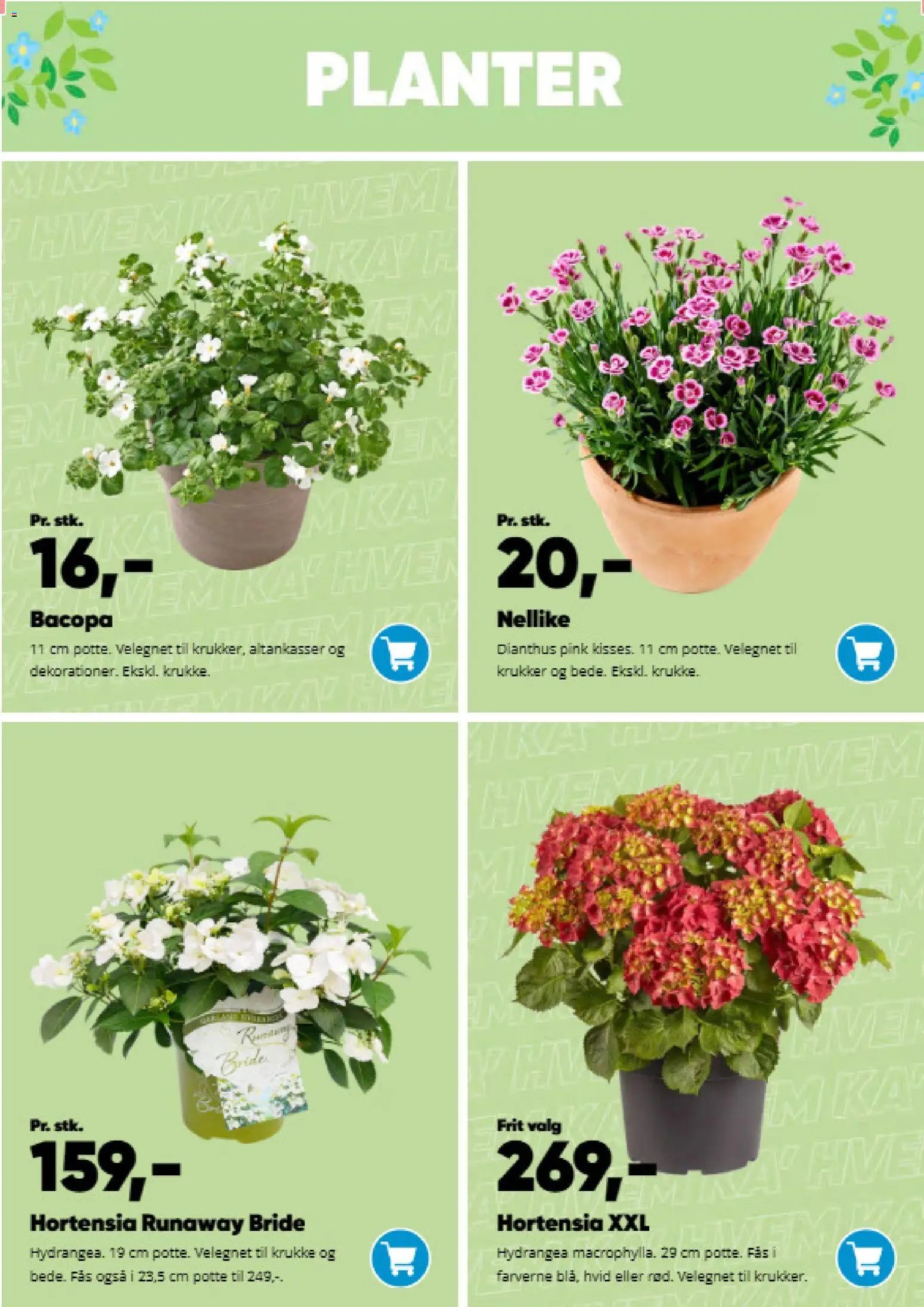 Bilka tilbudsavis fra 09/03/2026 Bilka - Have katalog (2026-03-09)