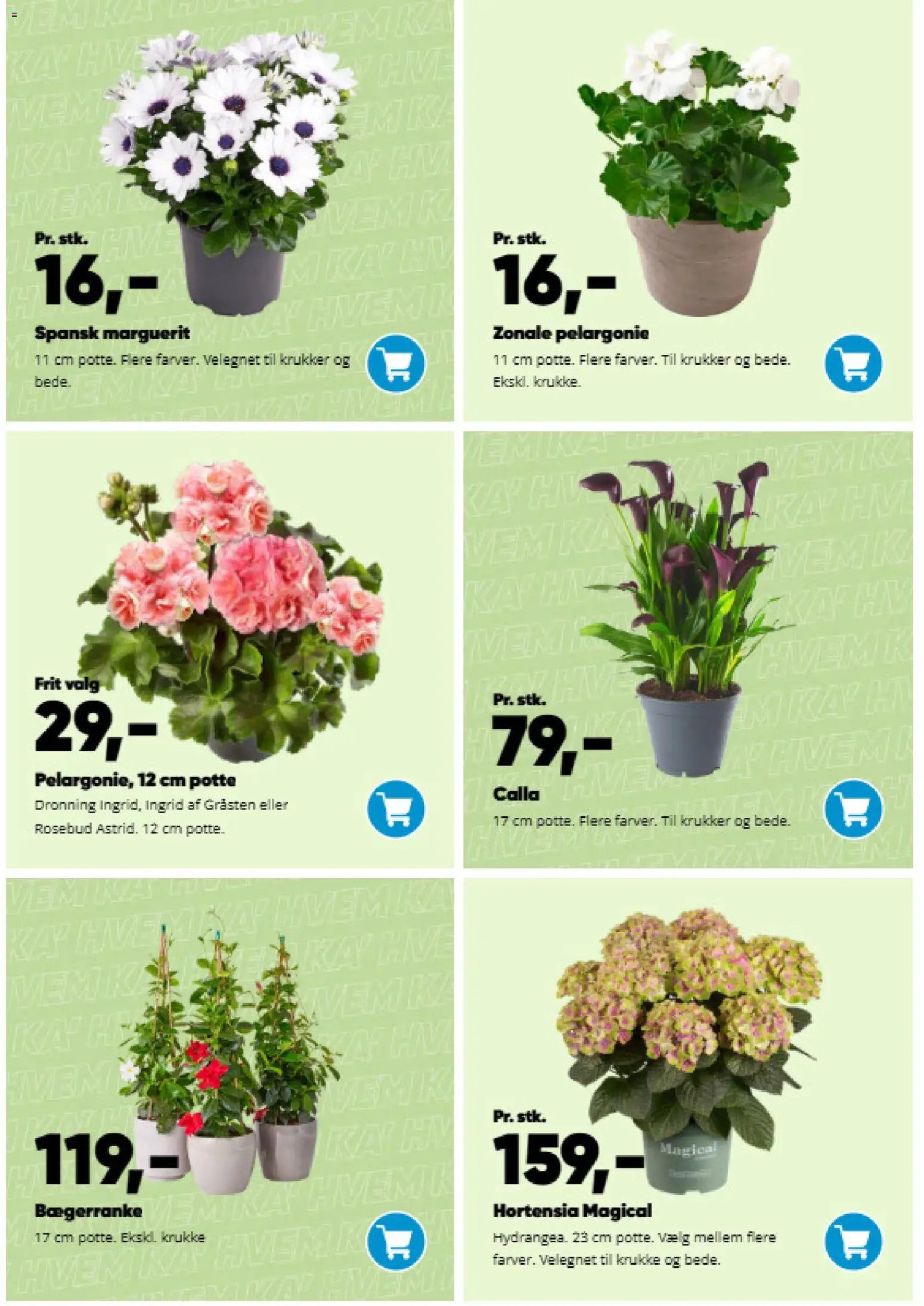 Bilka tilbudsavis fra 09/03/2026 Bilka - Have katalog (2026-03-09)