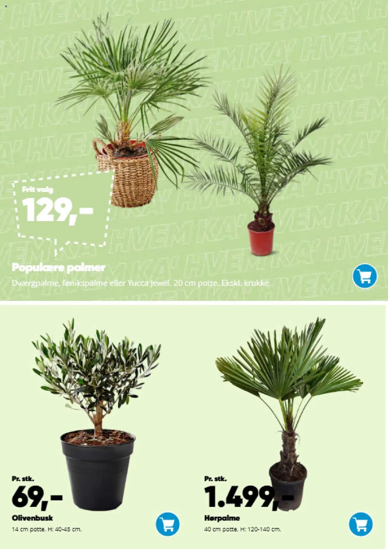Bilka tilbudsavis fra 09/03/2026 Bilka - Have katalog (2026-03-09)