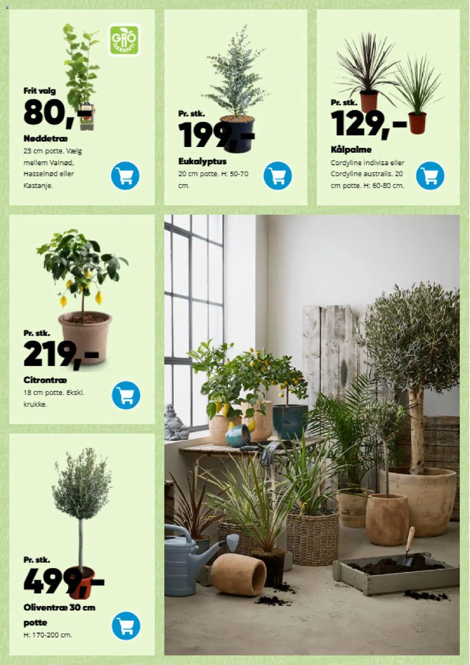Bilka tilbudsavis fra 09/03/2026 Bilka - Have katalog (2026-03-09)
