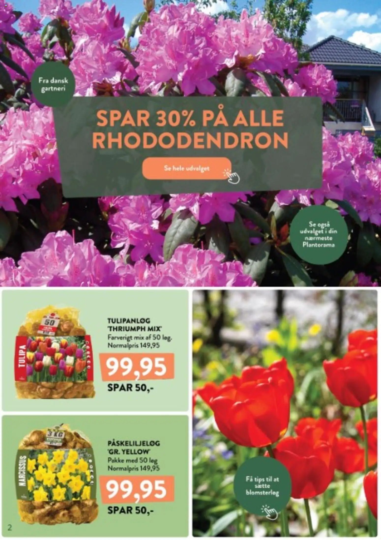 Nye Plantorama tilbud fra 12/10/2026