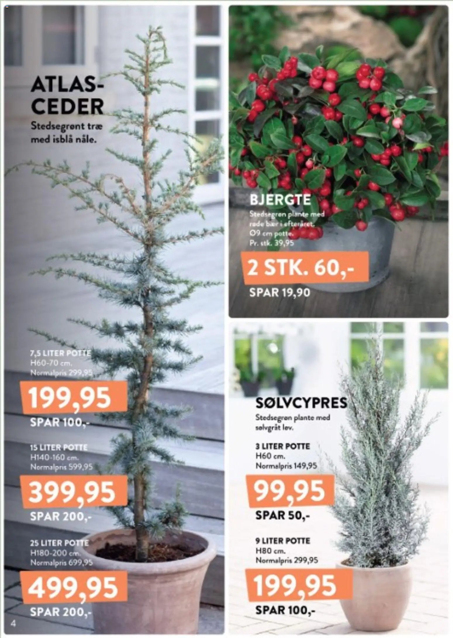 Nye Plantorama tilbud fra 12/10/2026