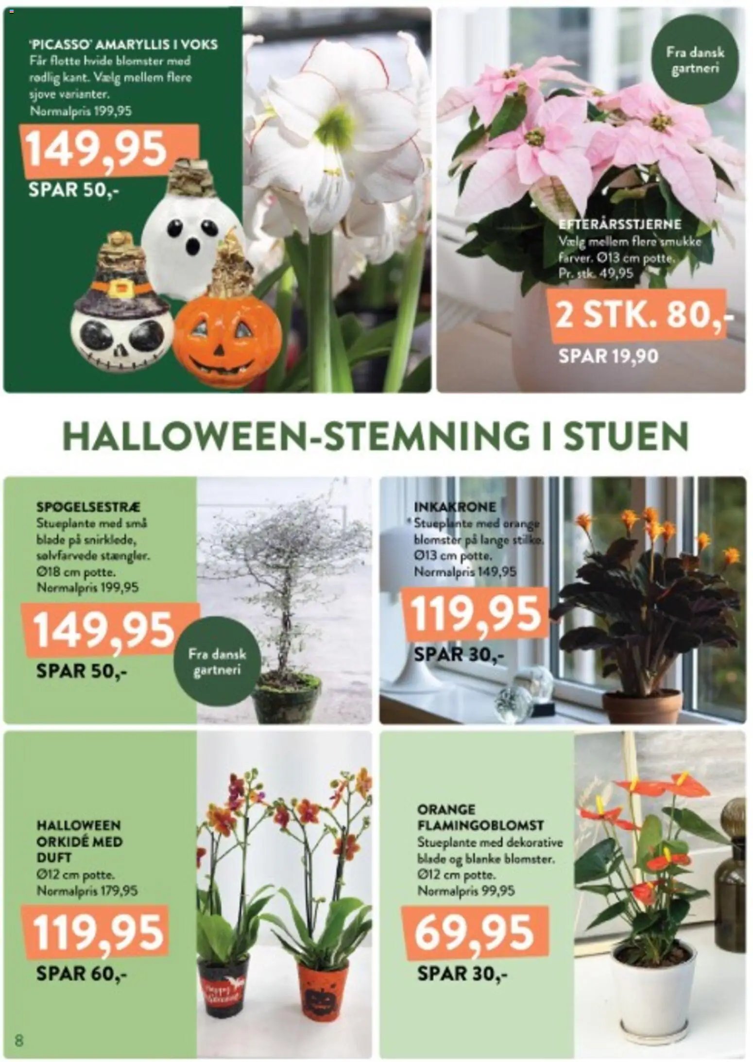 Nye Plantorama tilbud fra 12/10/2026