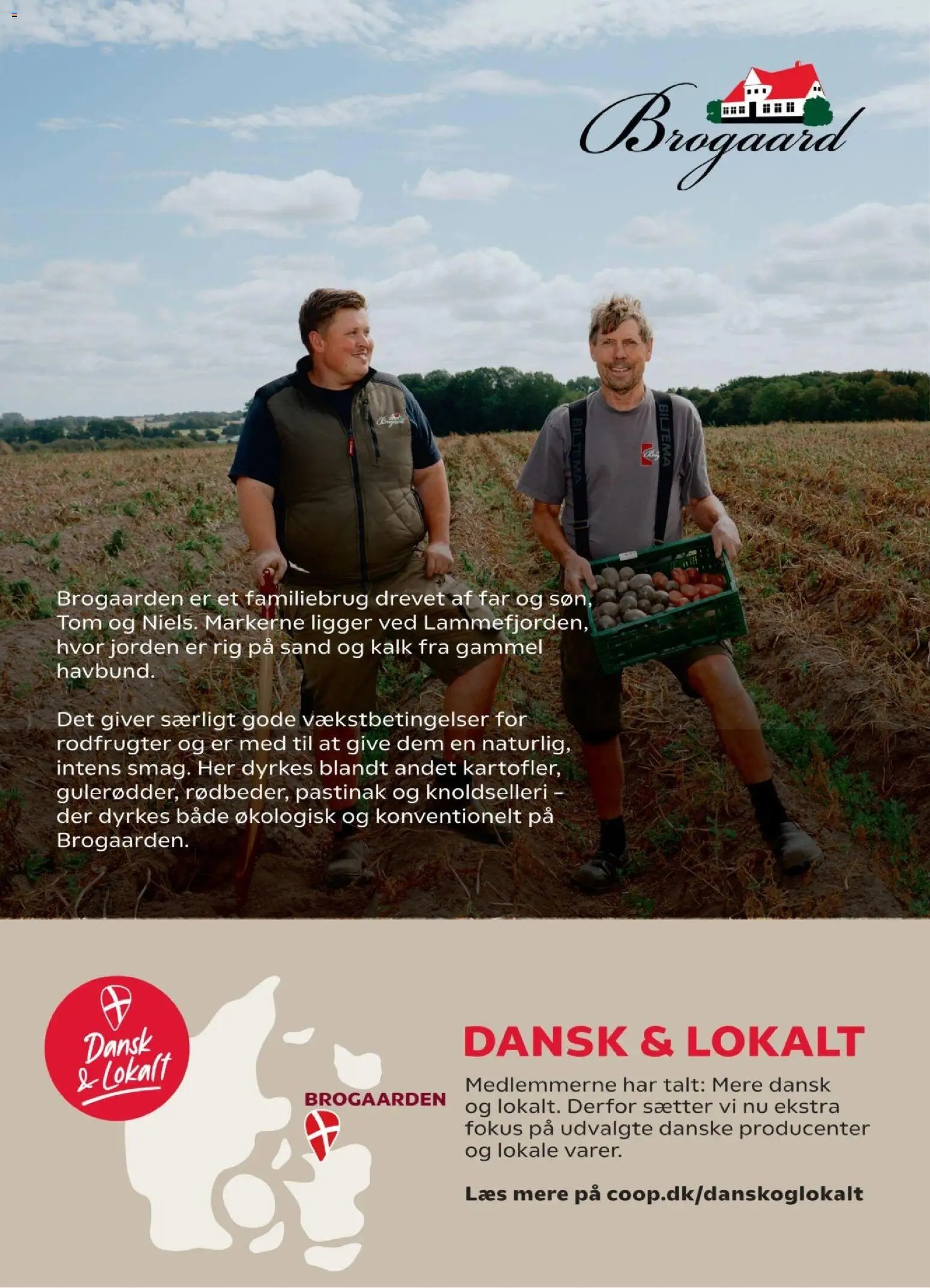 Nye Kvickly tilbud fra 23/10/2026