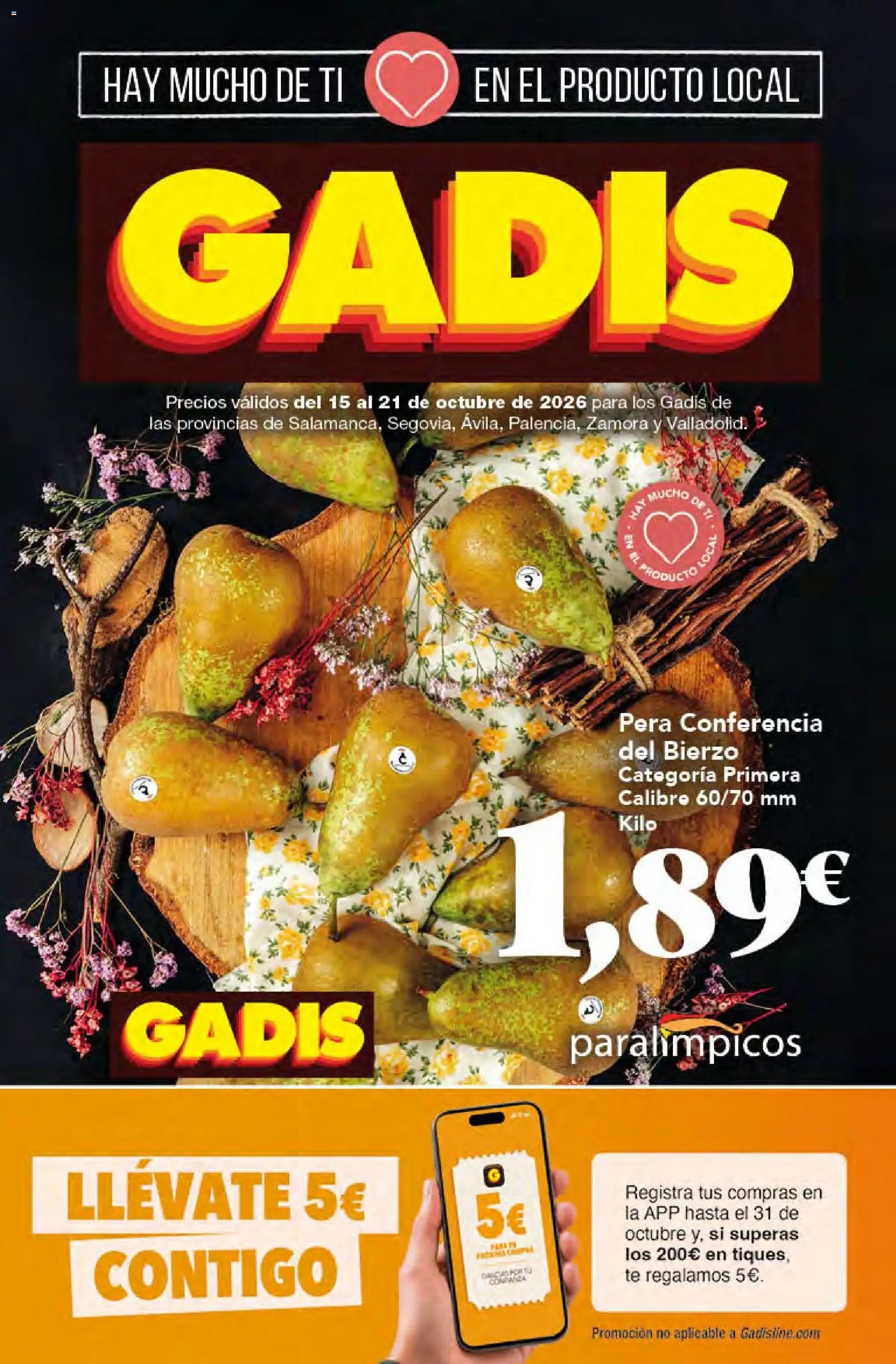 Gadis folleto > 15/10 - 21/10/2026 > Ofertas