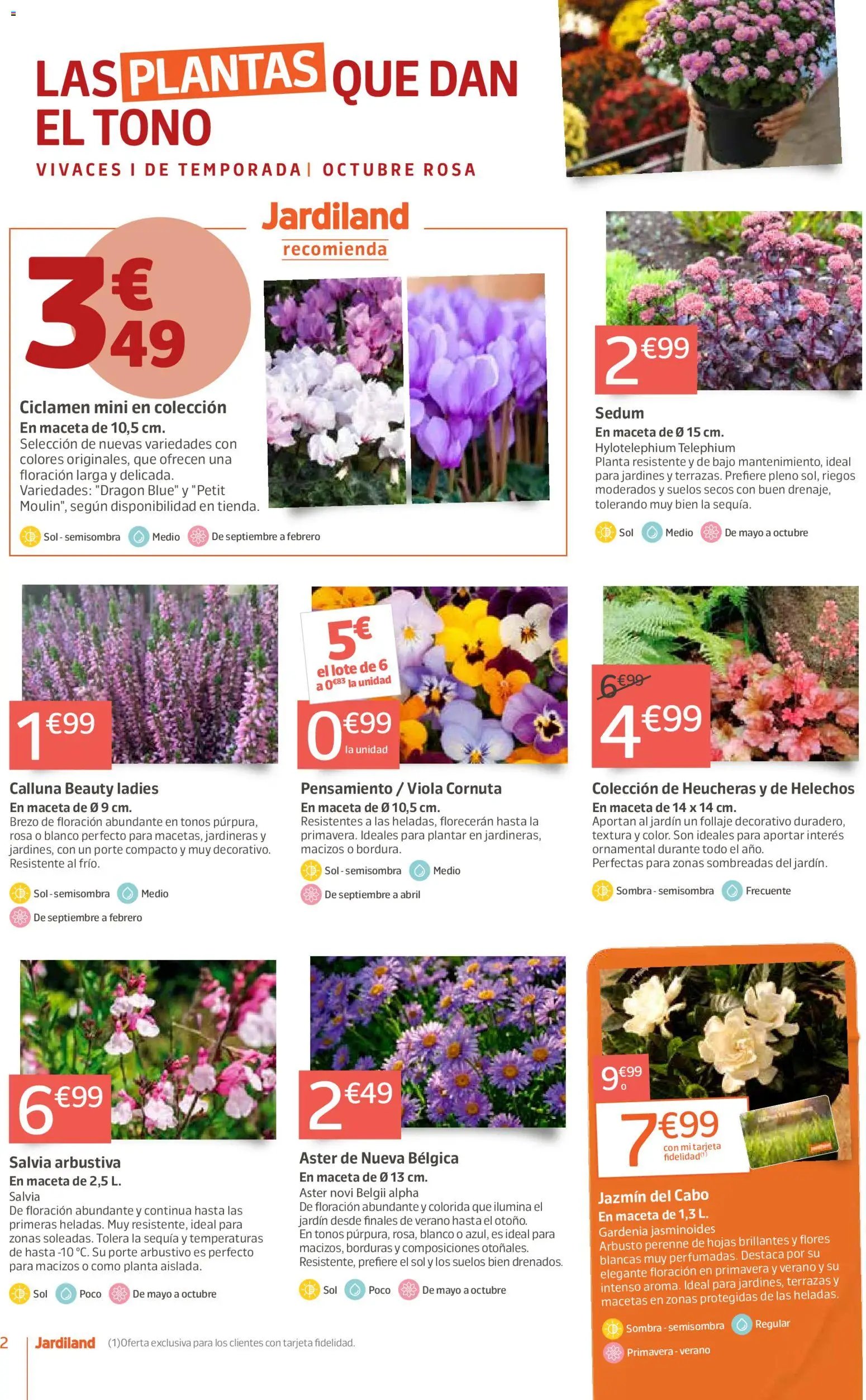 Jardiland oferta desde 01/10/2026 Jardiland Folleto