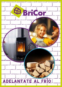 BriCor oferta desde 01/10/2025 Folleto