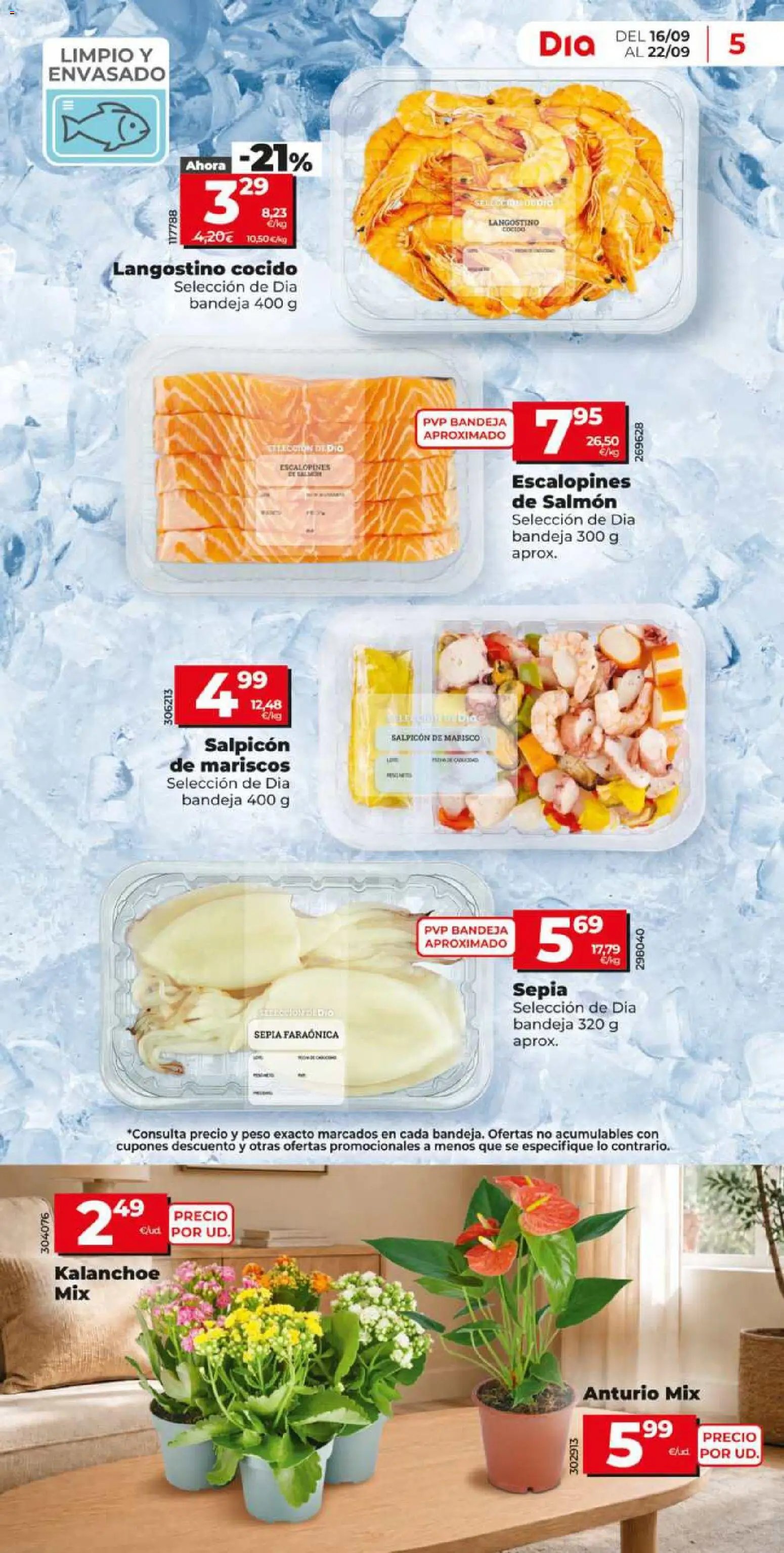 Dia oferta desde 16/09/2026 Dia Folleto