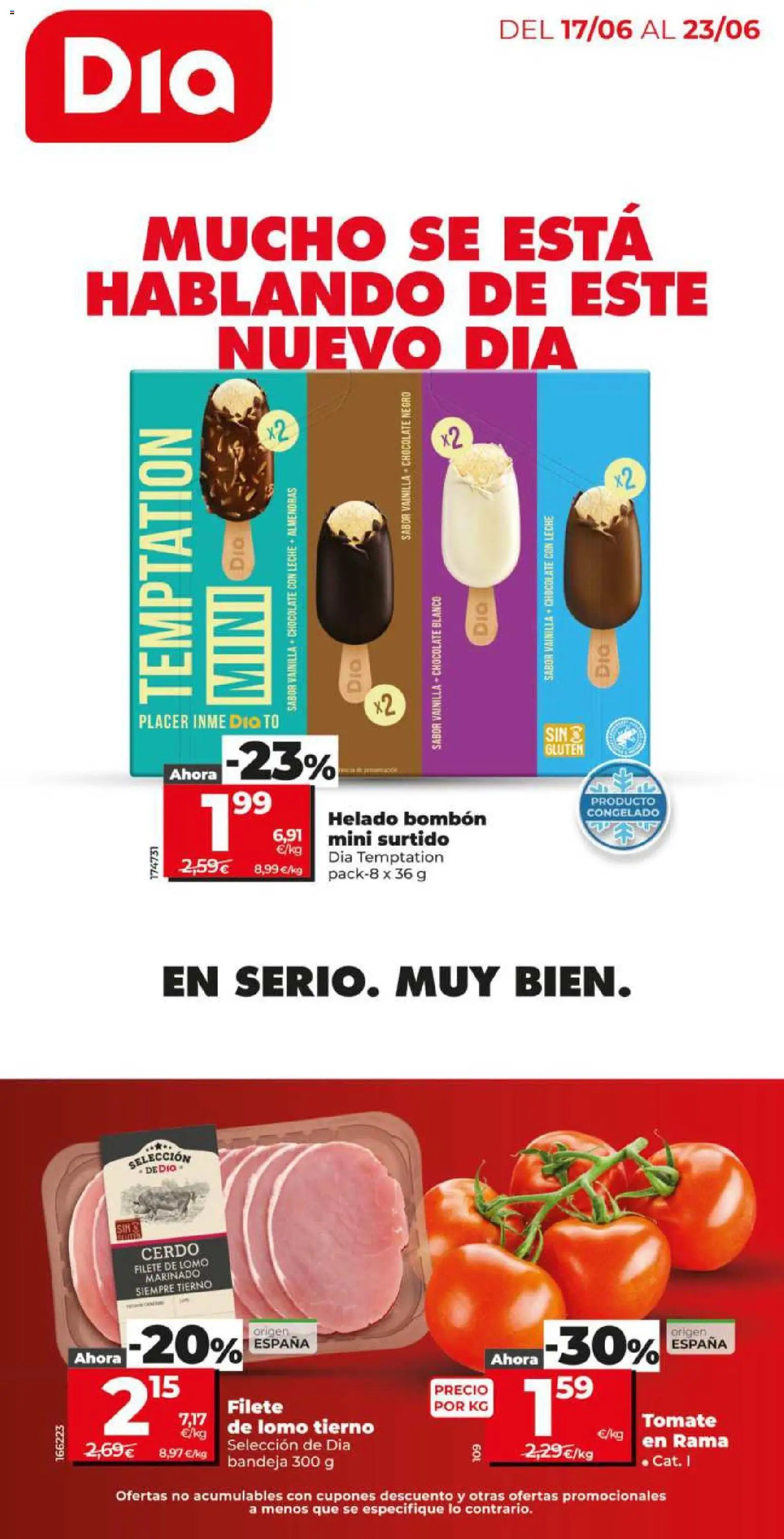 Dia oferta desde 17/06/2026 Dia Folleto Market