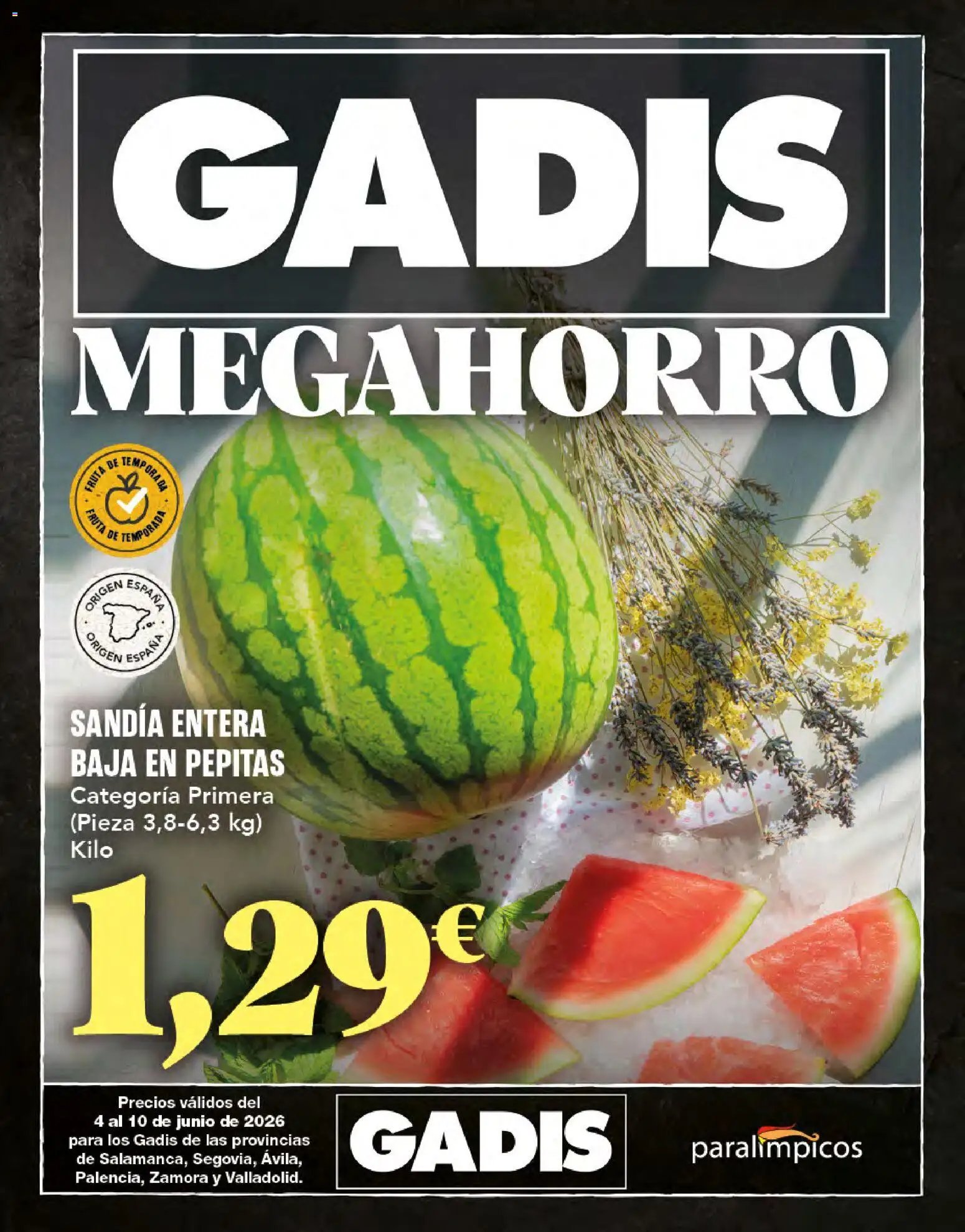 Gadis oferta desde 04/06/2026 Gadis Folleto