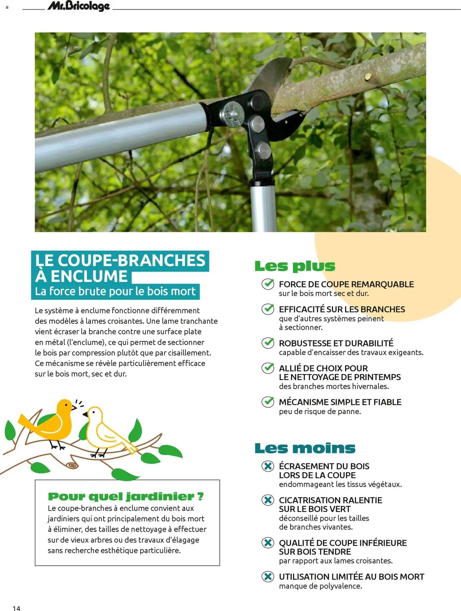 Mr. Bricolage catalogue à partir du 01/04/2026 Mr. Bricolage Printemps 2026