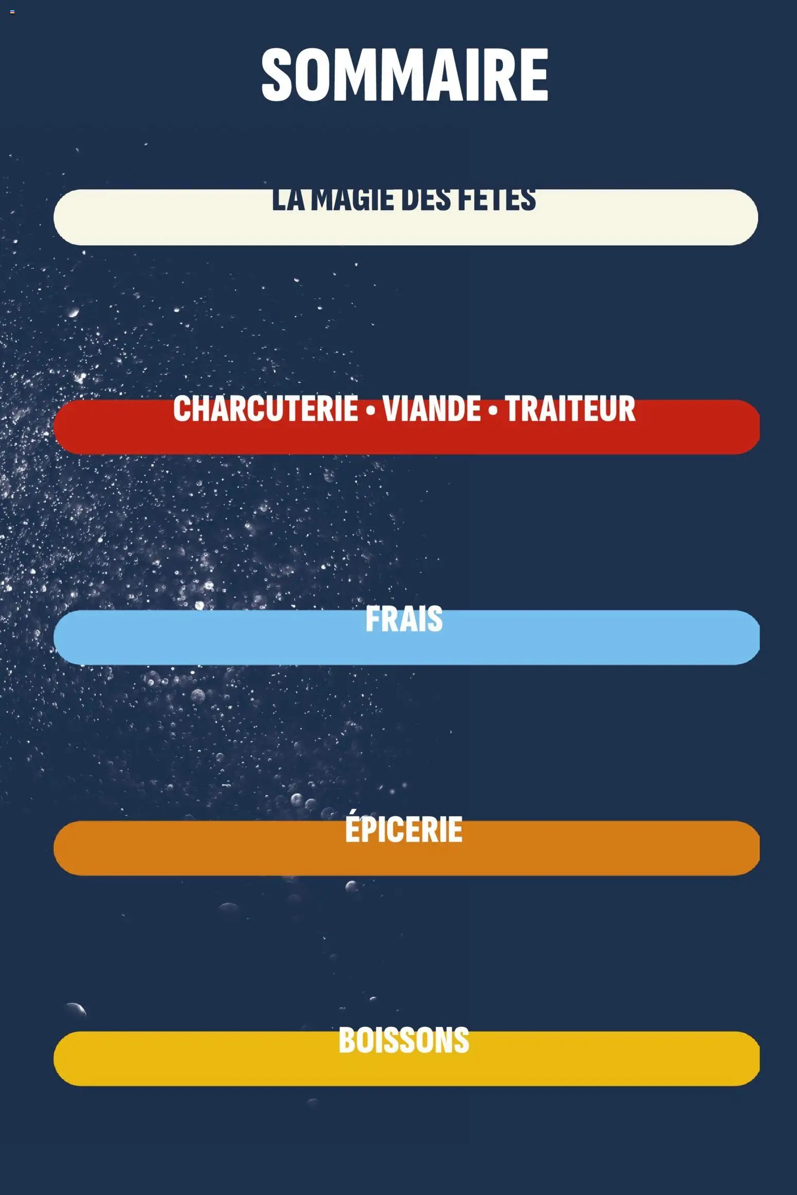 Coccinelle catalogue à partir du 17/12/2025 Market