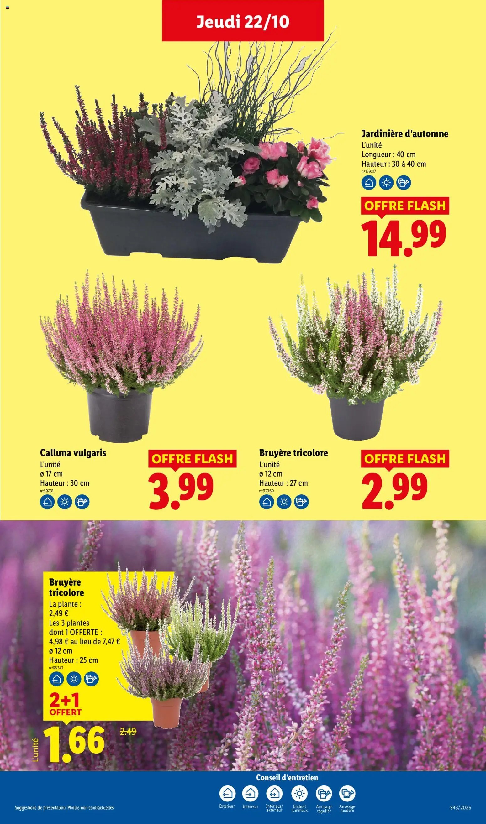Catalogue LIDL à venir 22/10/2026 » Prospectus Octobre
