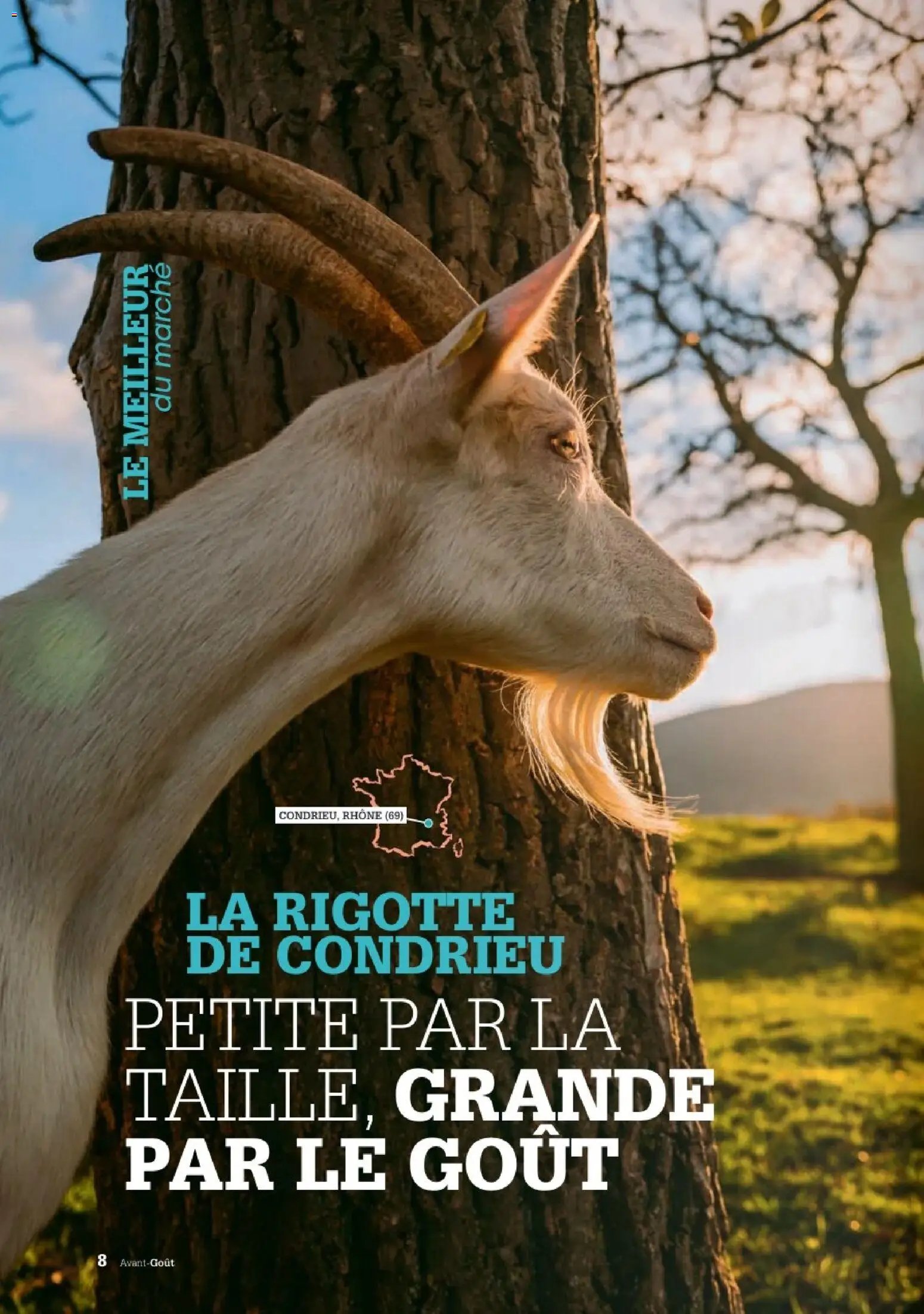 Grand Frais catalogue à partir du 02/06/2026 Grand Frais catalogue
