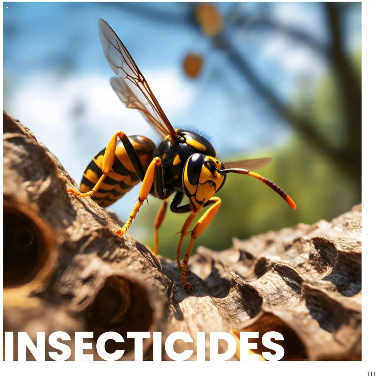 Texam catalogue à partir du 01/02/2025 Catalogue