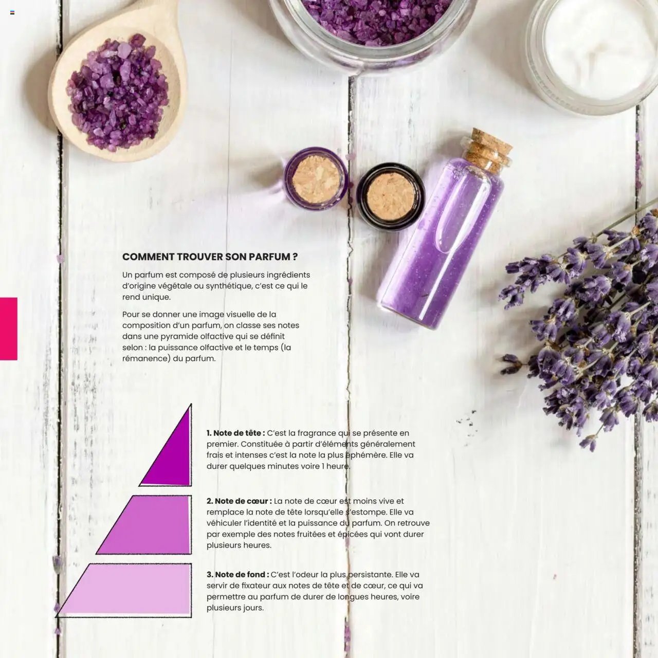 Texam catalogue à partir du 01/02/2025 Catalogue