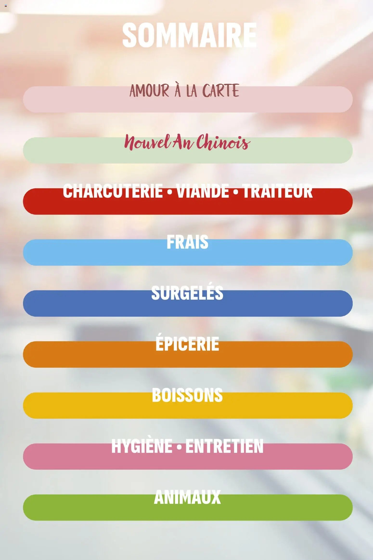 Coccinelle catalogue à partir du 11/02/2026 Market