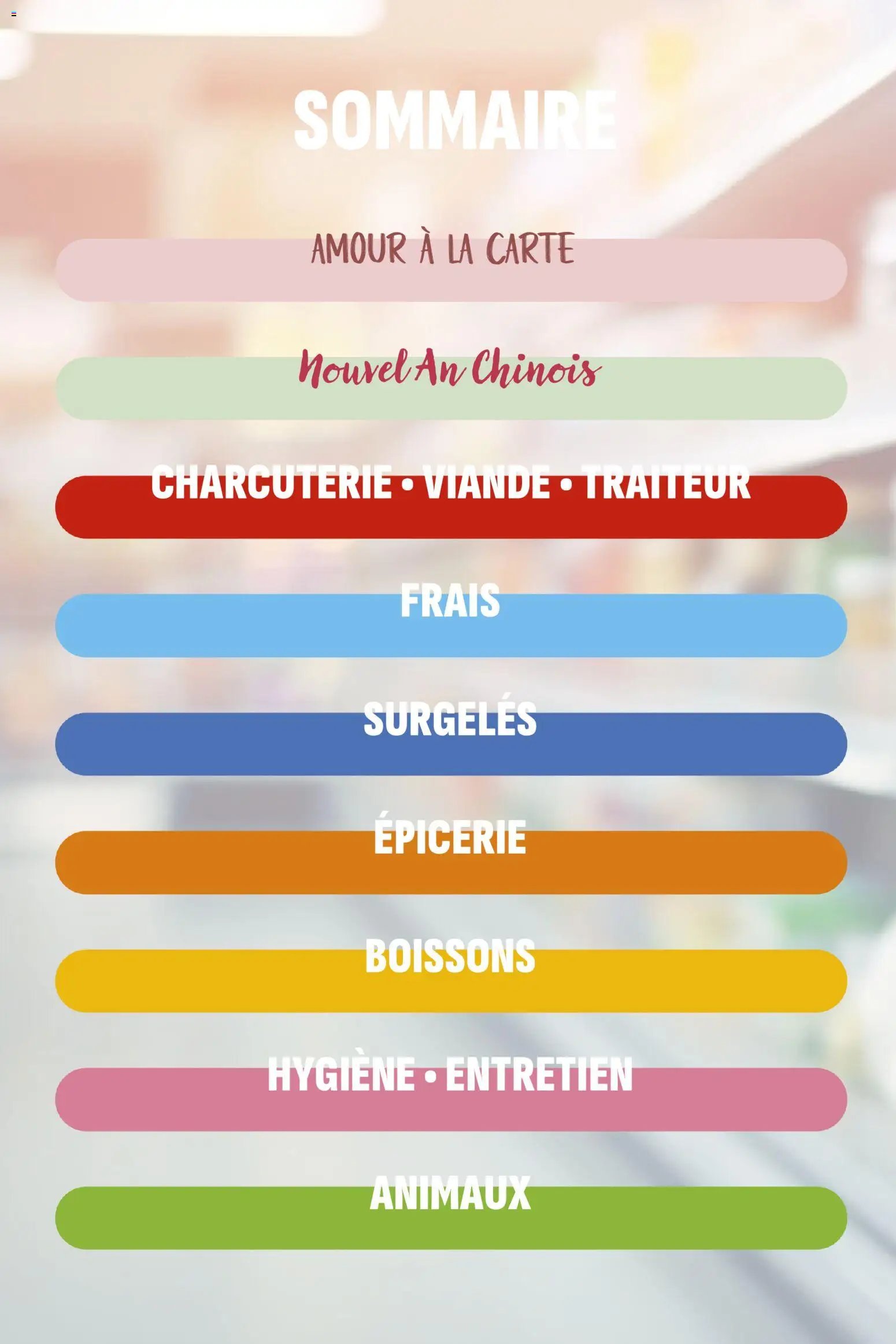 Coccinelle catalogue à partir du 11/02/2026 Catalogue