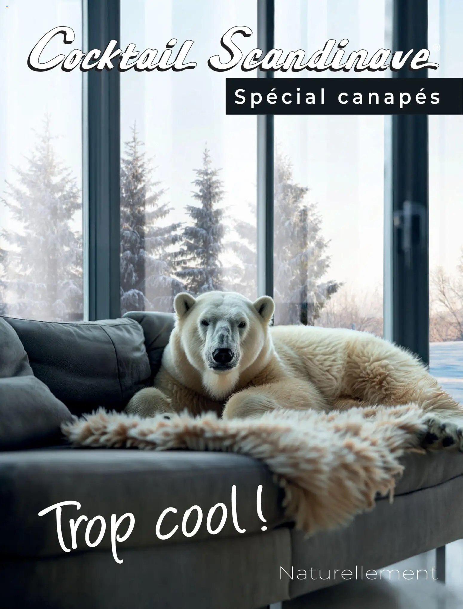 Cocktail Scandinave catalogue à partir du 18/02/2026 Catalogue