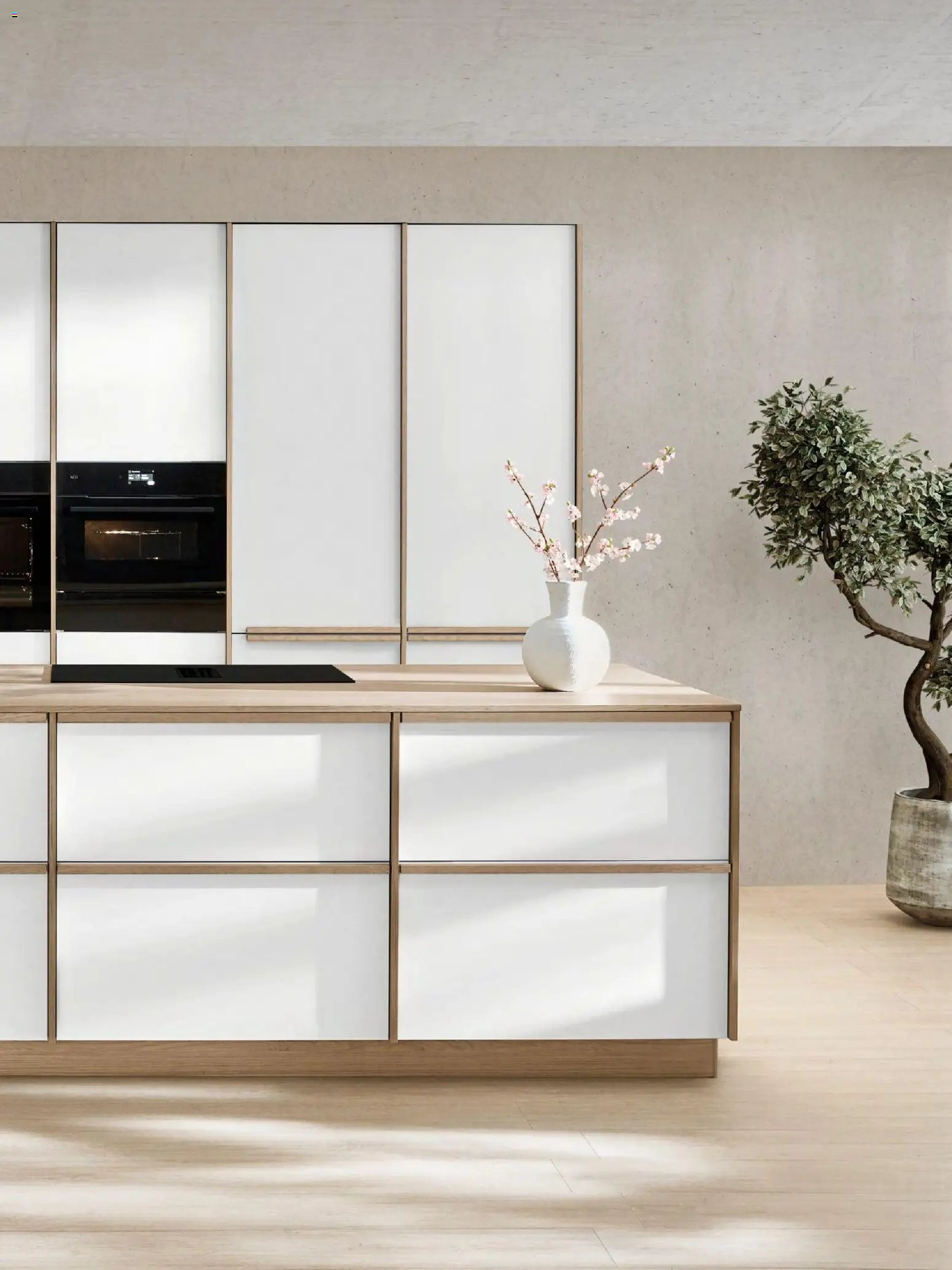 Atlas catalogue à partir du 01/01/2026 Catalogue