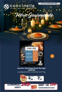 Coccinelle catalogue à partir du 03/12/2025 Express