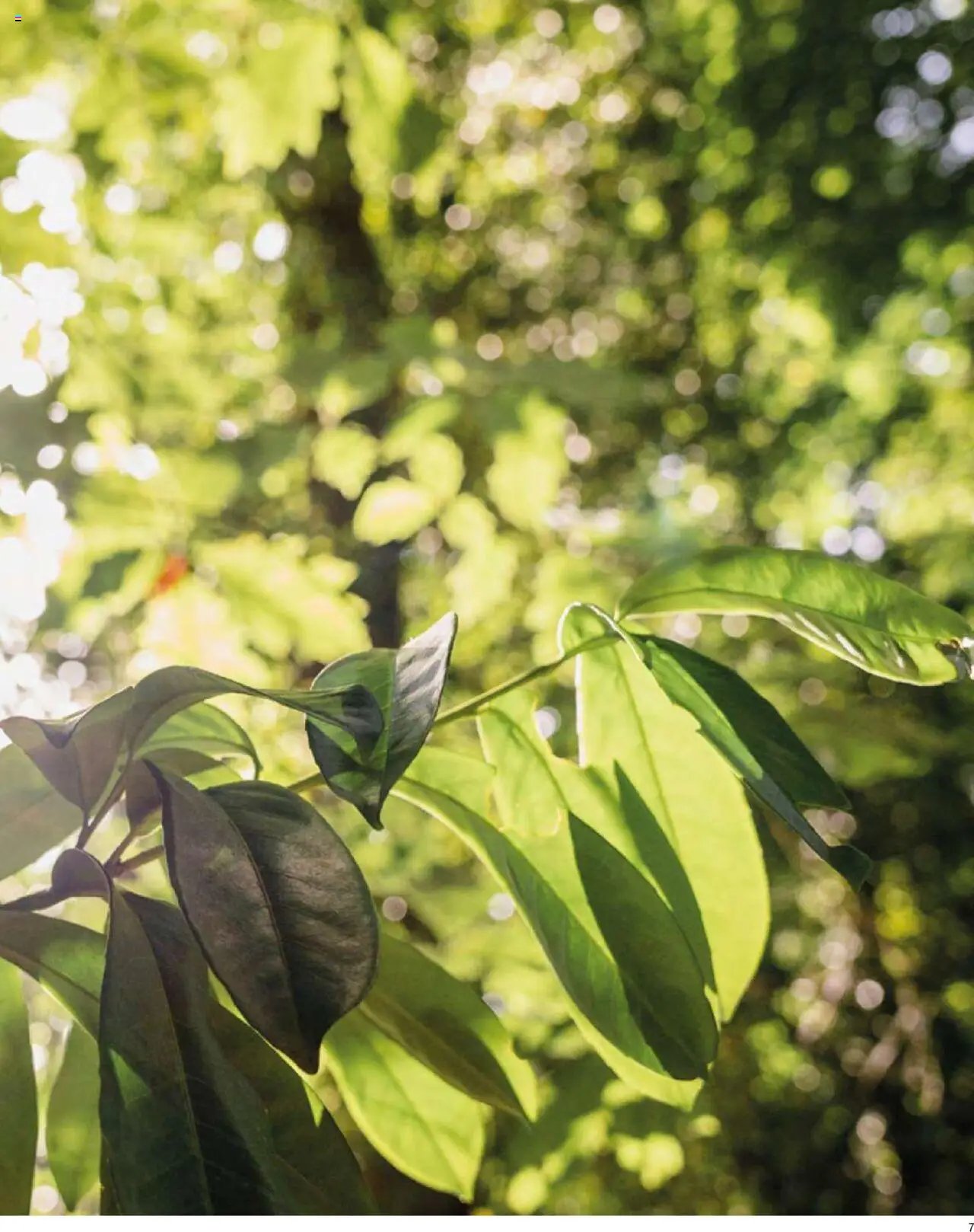 Maisons du Monde catalogue à partir du 01/04/2024 Catalogue