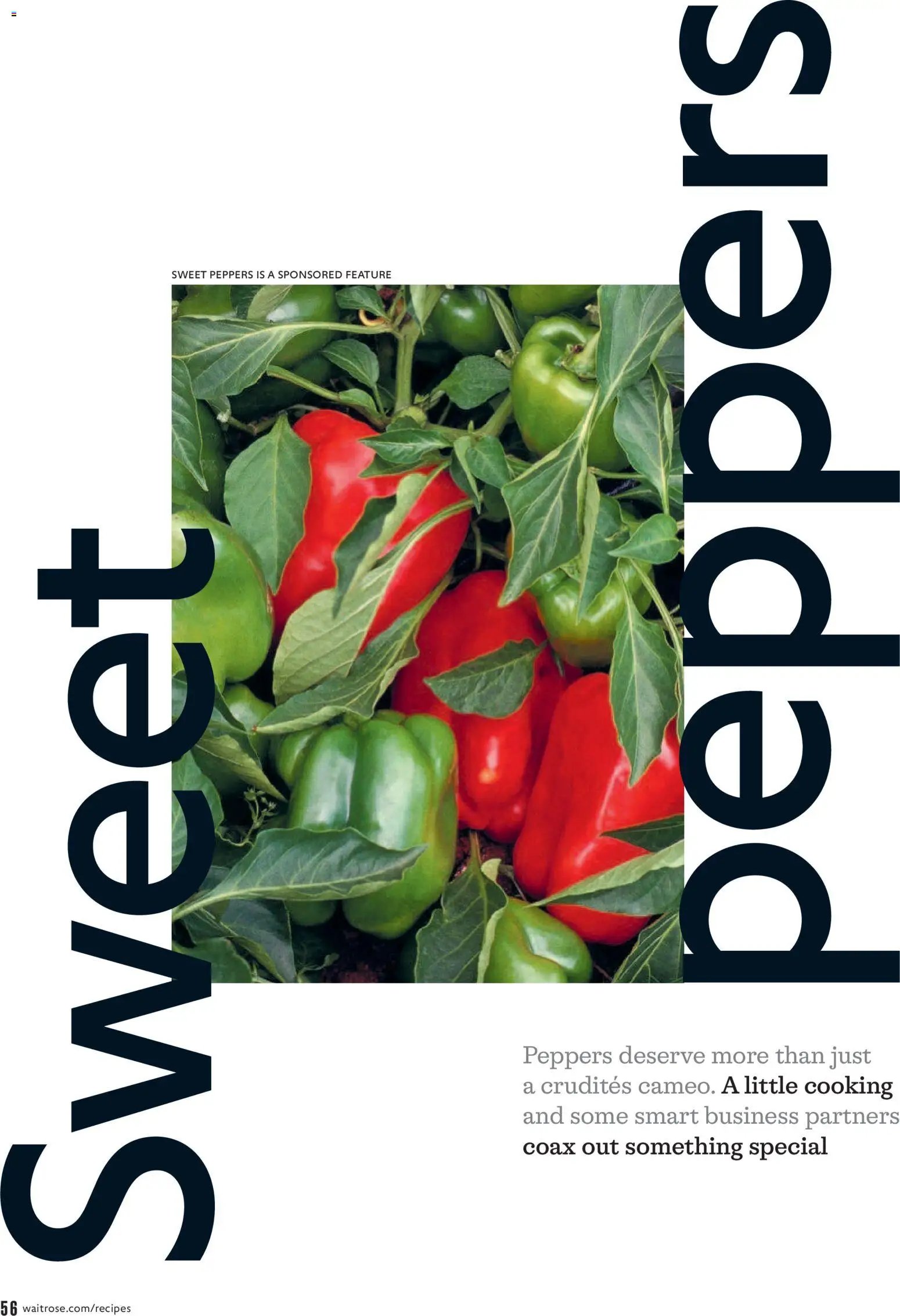 Waitrose offer from 01/09/2026 Waitrose - Offers
