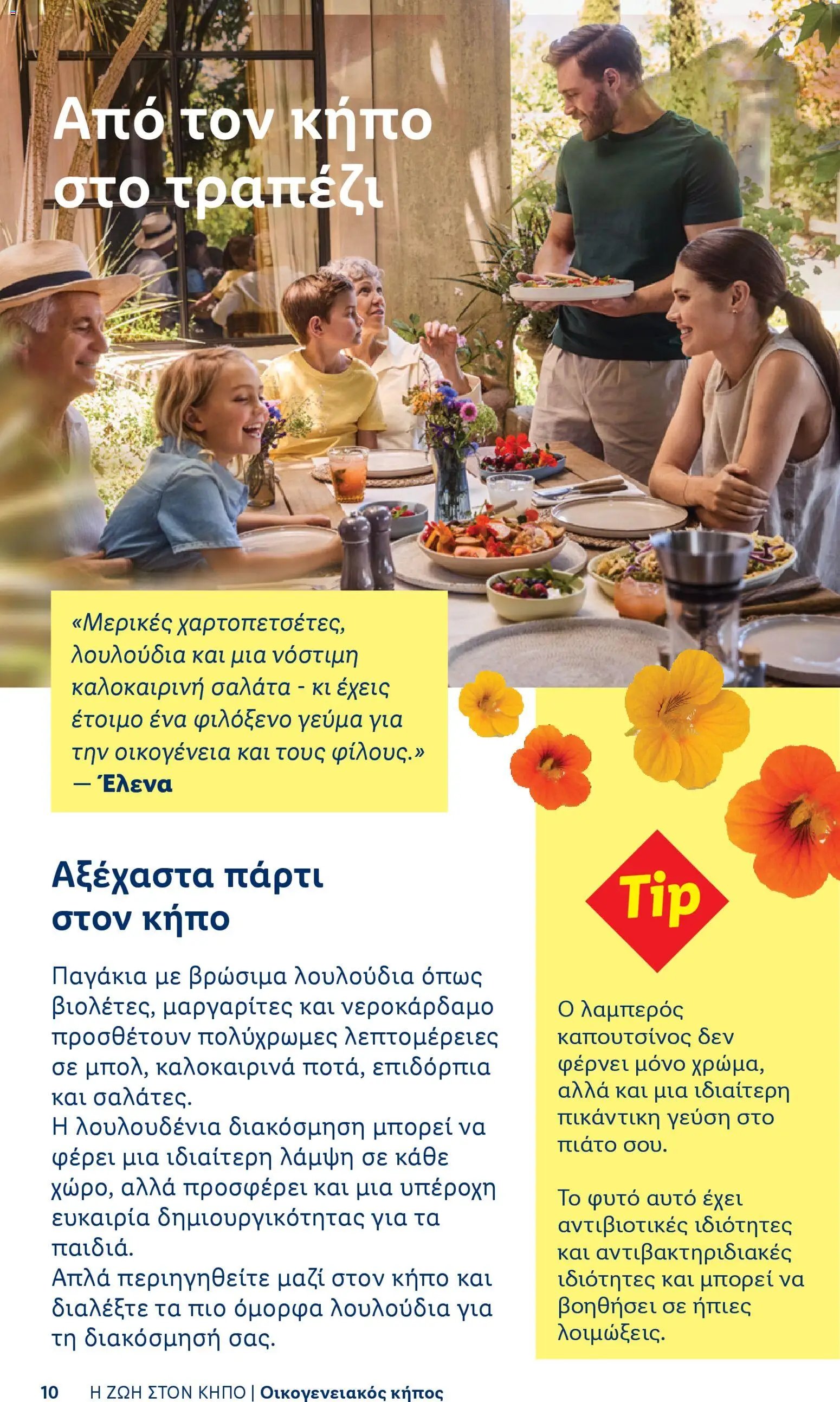 Lidl φυλλάδιο από 06/04/2026 Lidl - Φυλλάδιο - Booklet