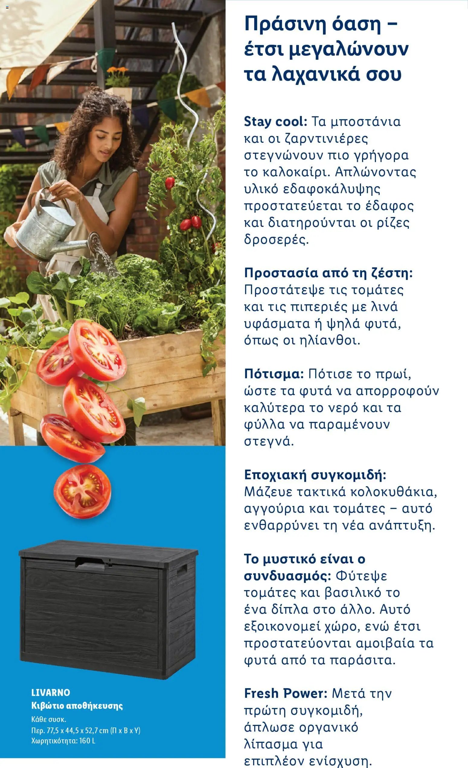 Lidl φυλλάδιο από 06/04/2026 Lidl - Φυλλάδιο - Booklet