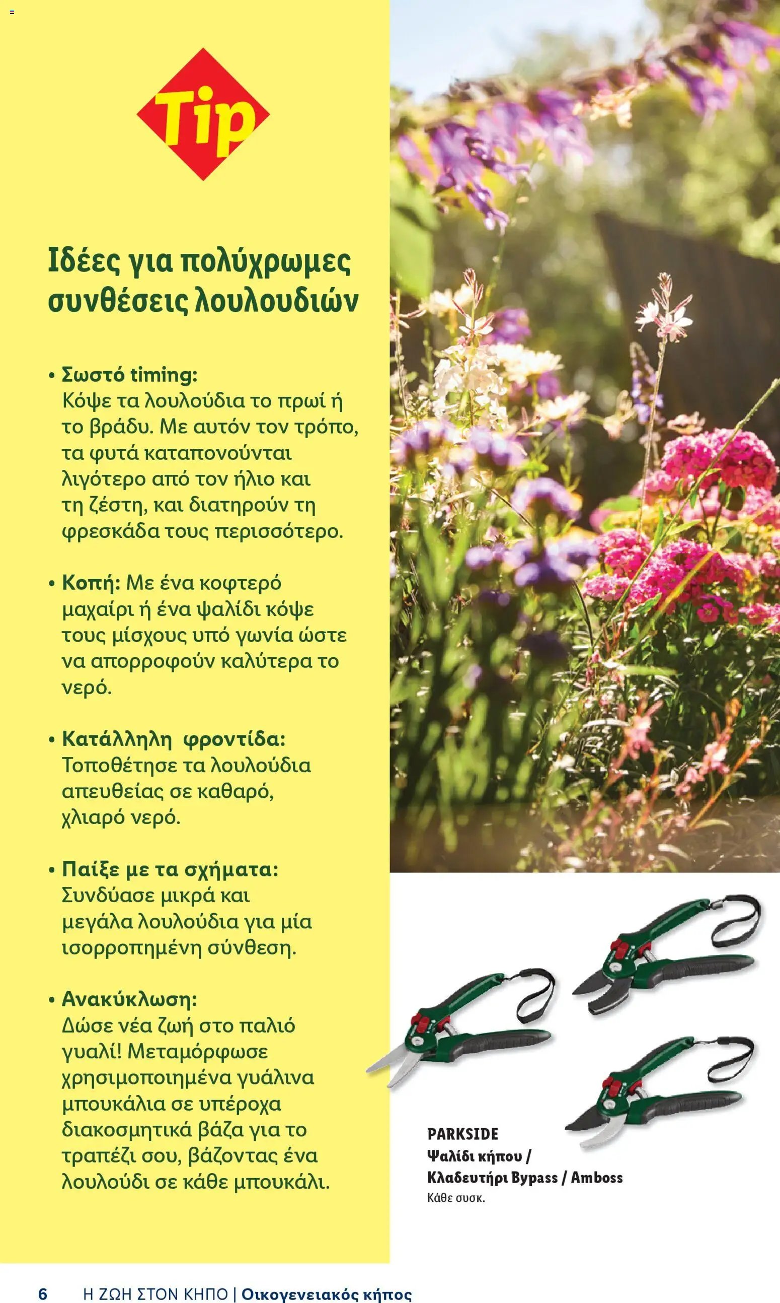 Lidl φυλλάδιο από 06/04/2026 Lidl - Φυλλάδιο - Booklet