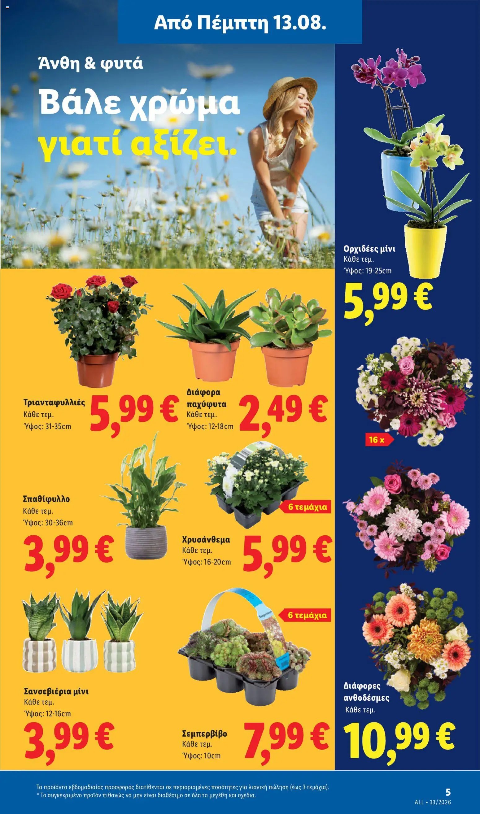 Lidl φυλλάδιο από 13/08/2026 Φυλλάδιο - Lidl
