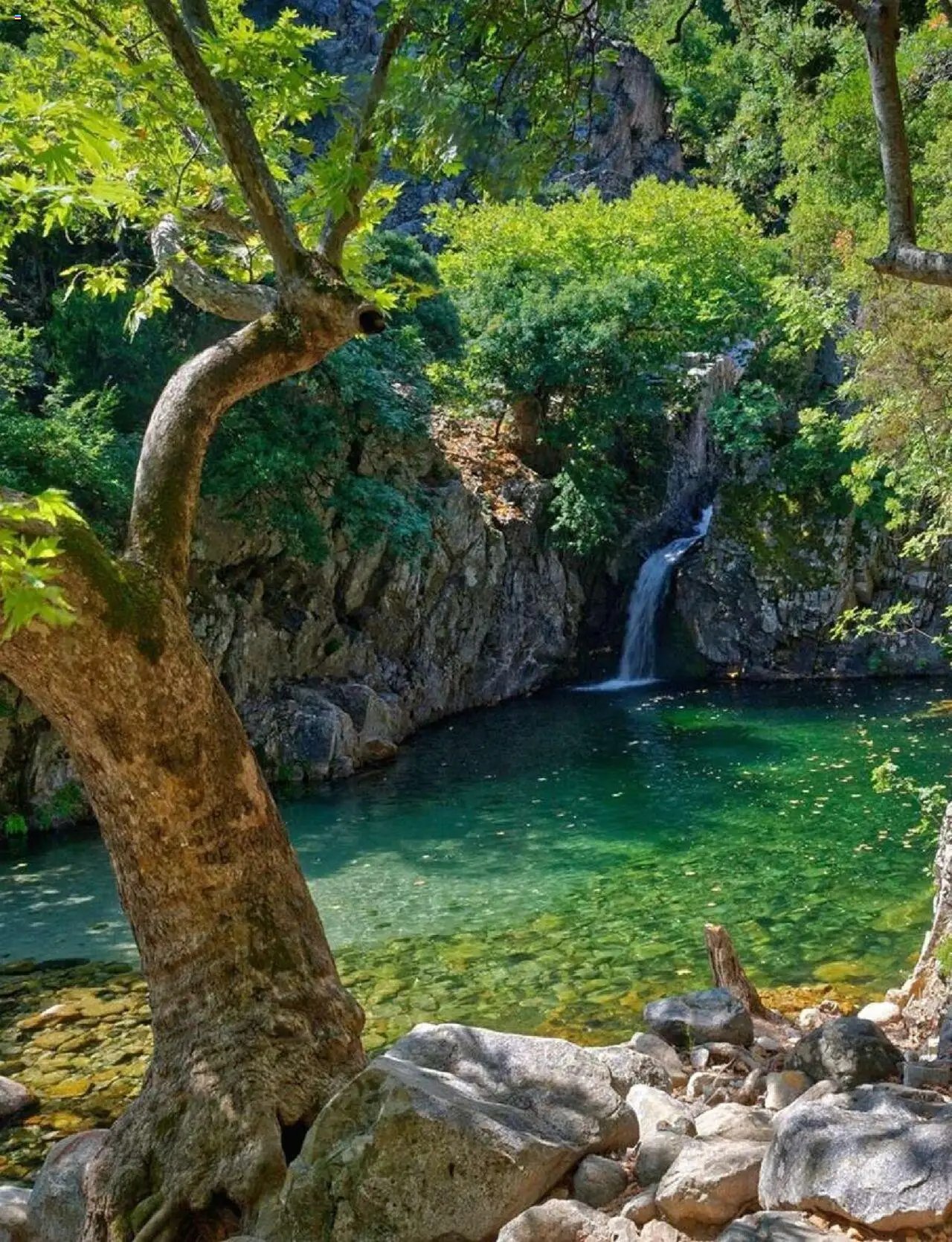 Manessis φυλλάδιο από 04/04/2024 Kατάλογος ΠΑΣΧΑ ΣΤΗΝ ΕΛΛΑΔΑ 2024