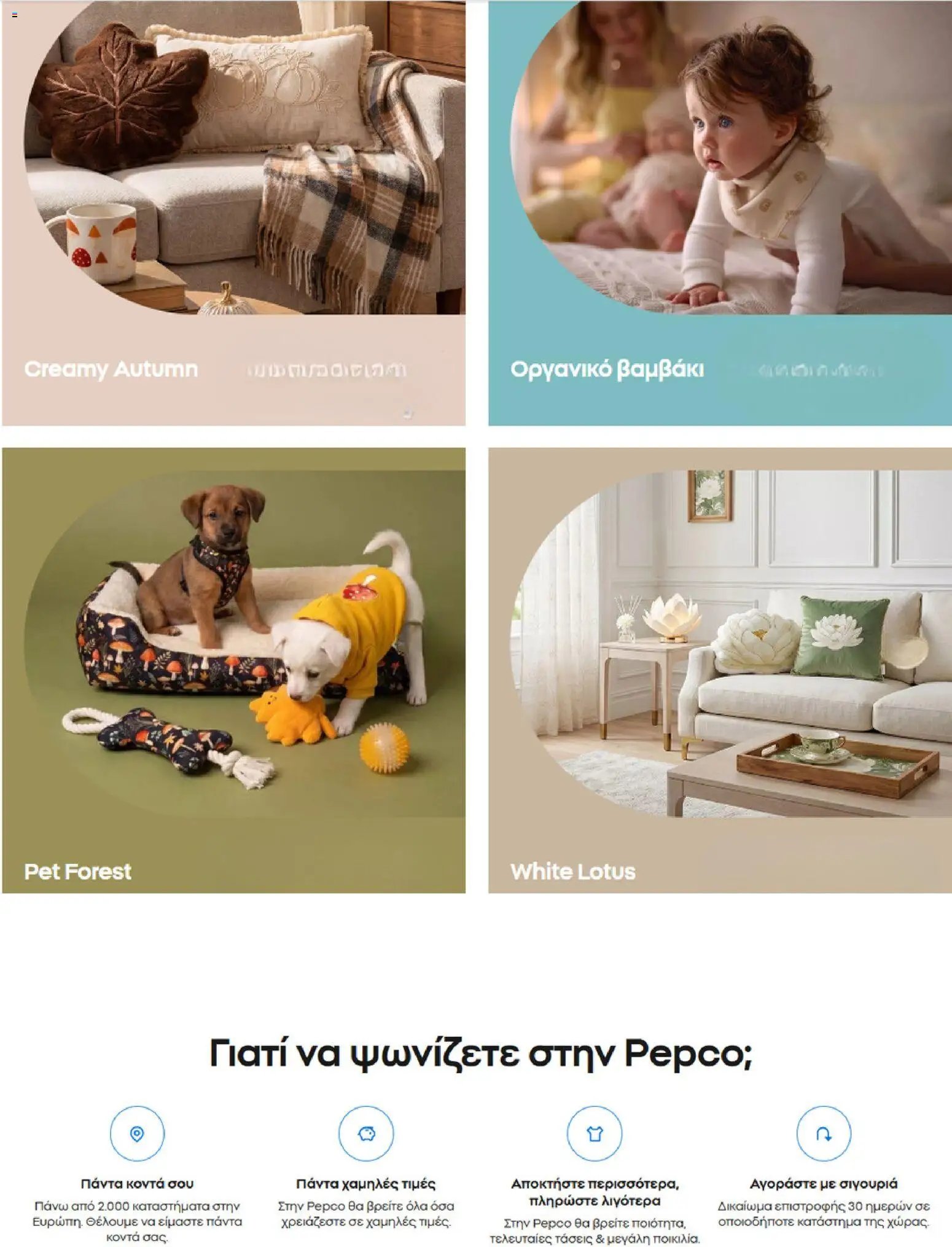 PEPCO φυλλάδιο από 31/07/2026 PEPCO - Προσφορές