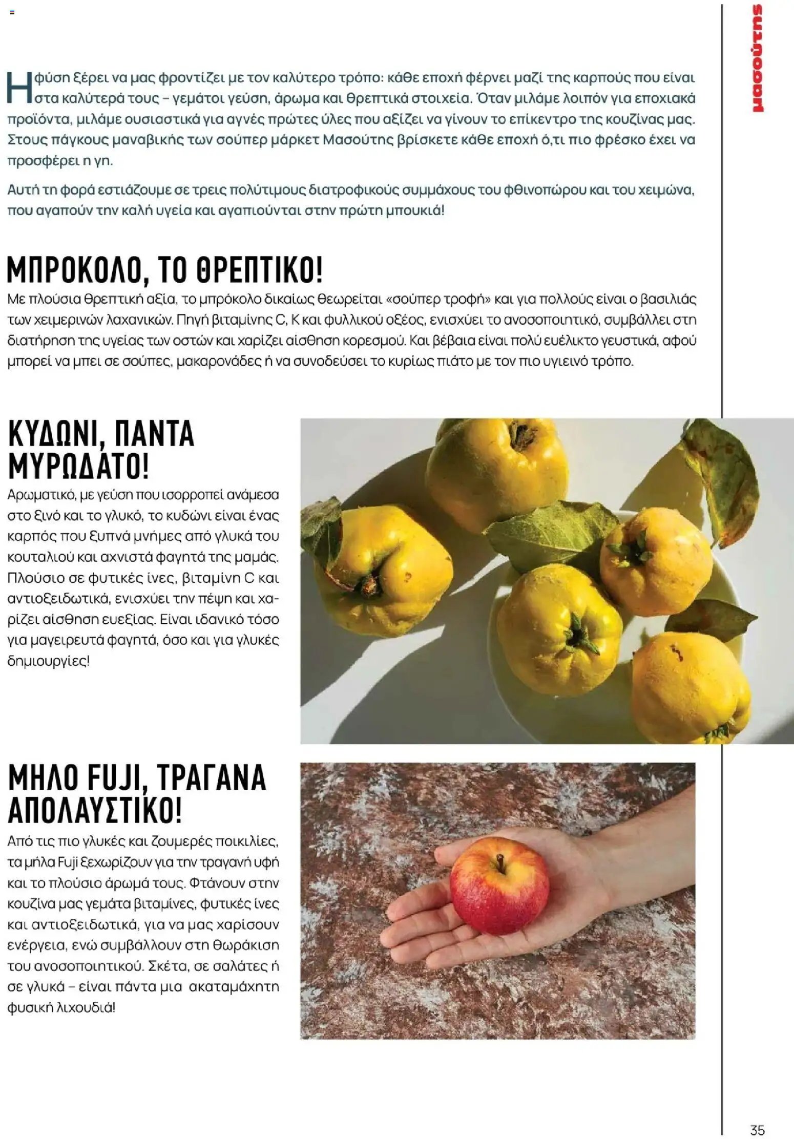 Μασούτης φυλλάδιο από 10/11/2025 Χειμώνας - Γεύσεις & εμπνεύσεις (2025-11-10 - 2026-12-31)