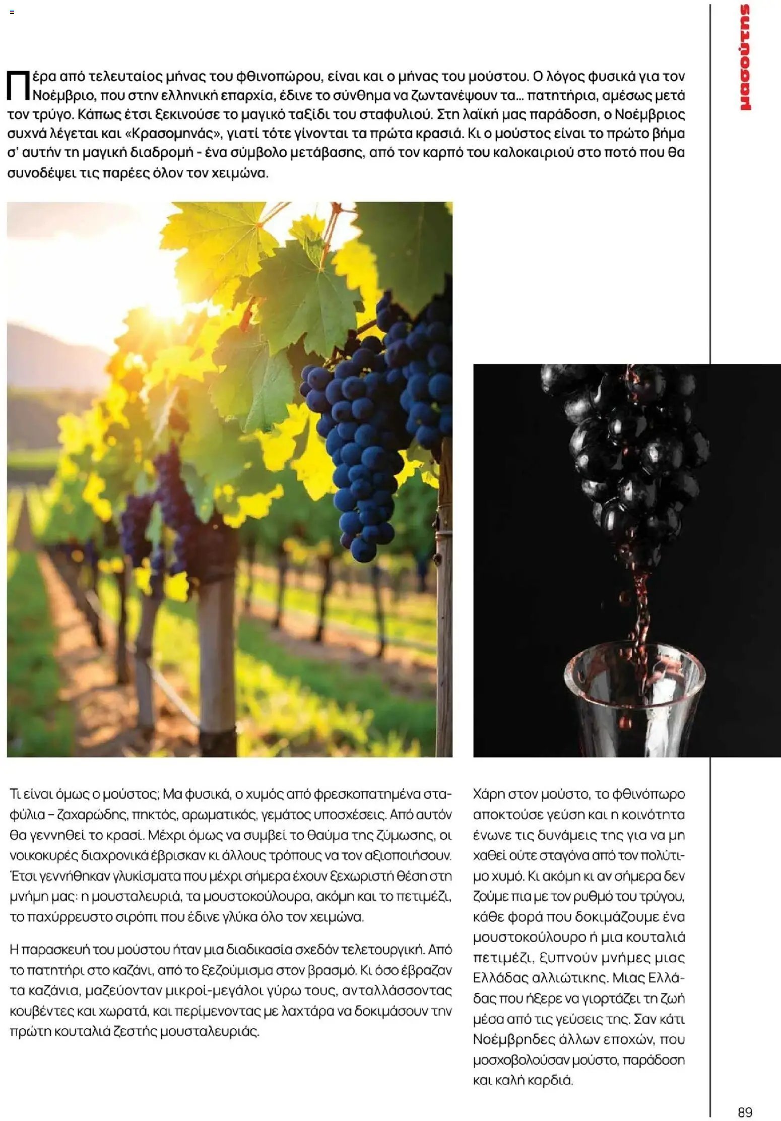 Μασούτης φυλλάδιο από 10/11/2025 Χειμώνας - Γεύσεις & εμπνεύσεις (2025-11-10 - 2026-12-31)