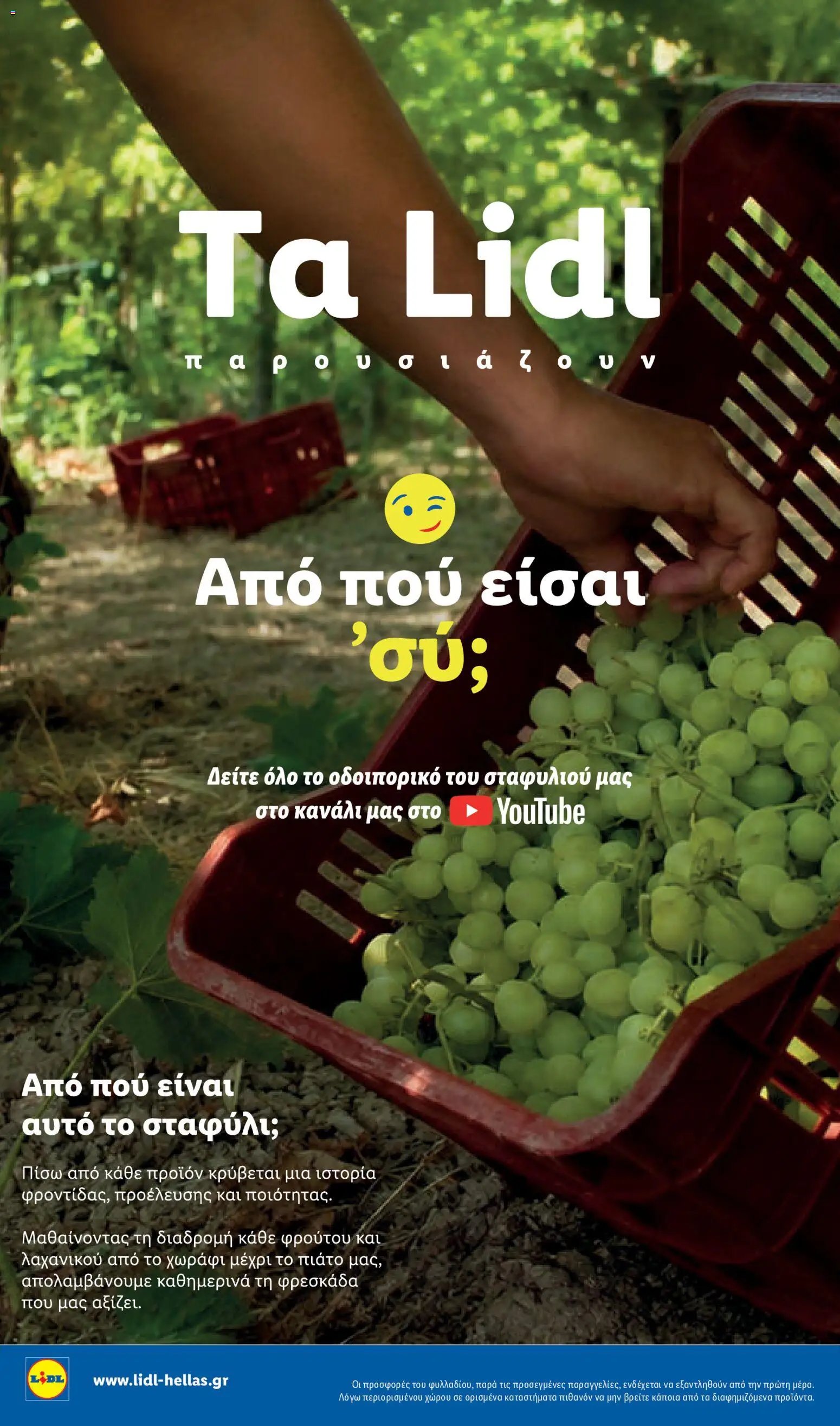 Lidl φυλλάδιο από 01/10/2026 Lidl - Προσφορές