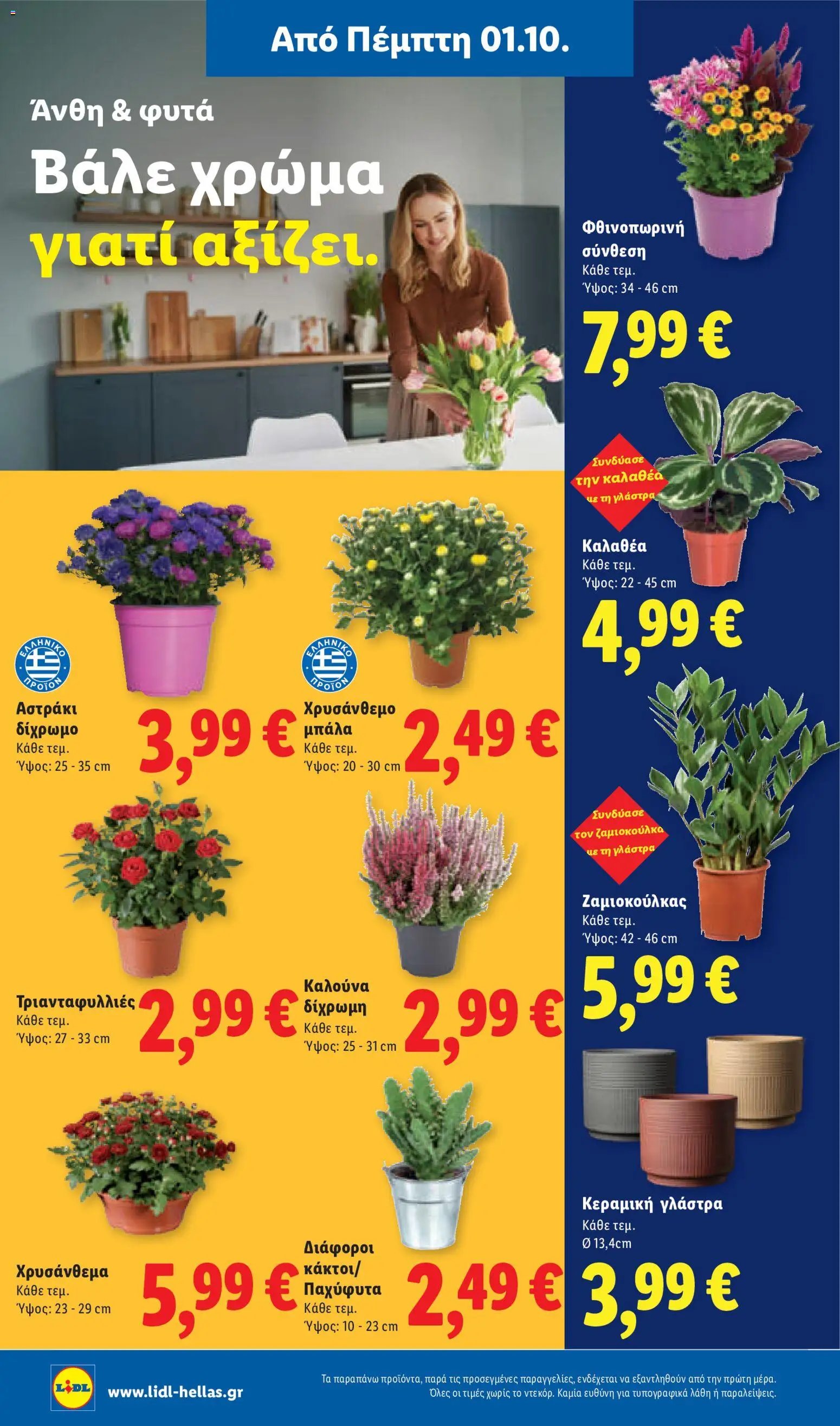 Lidl φυλλάδιο από 01/10/2026 Lidl - Προσφορές