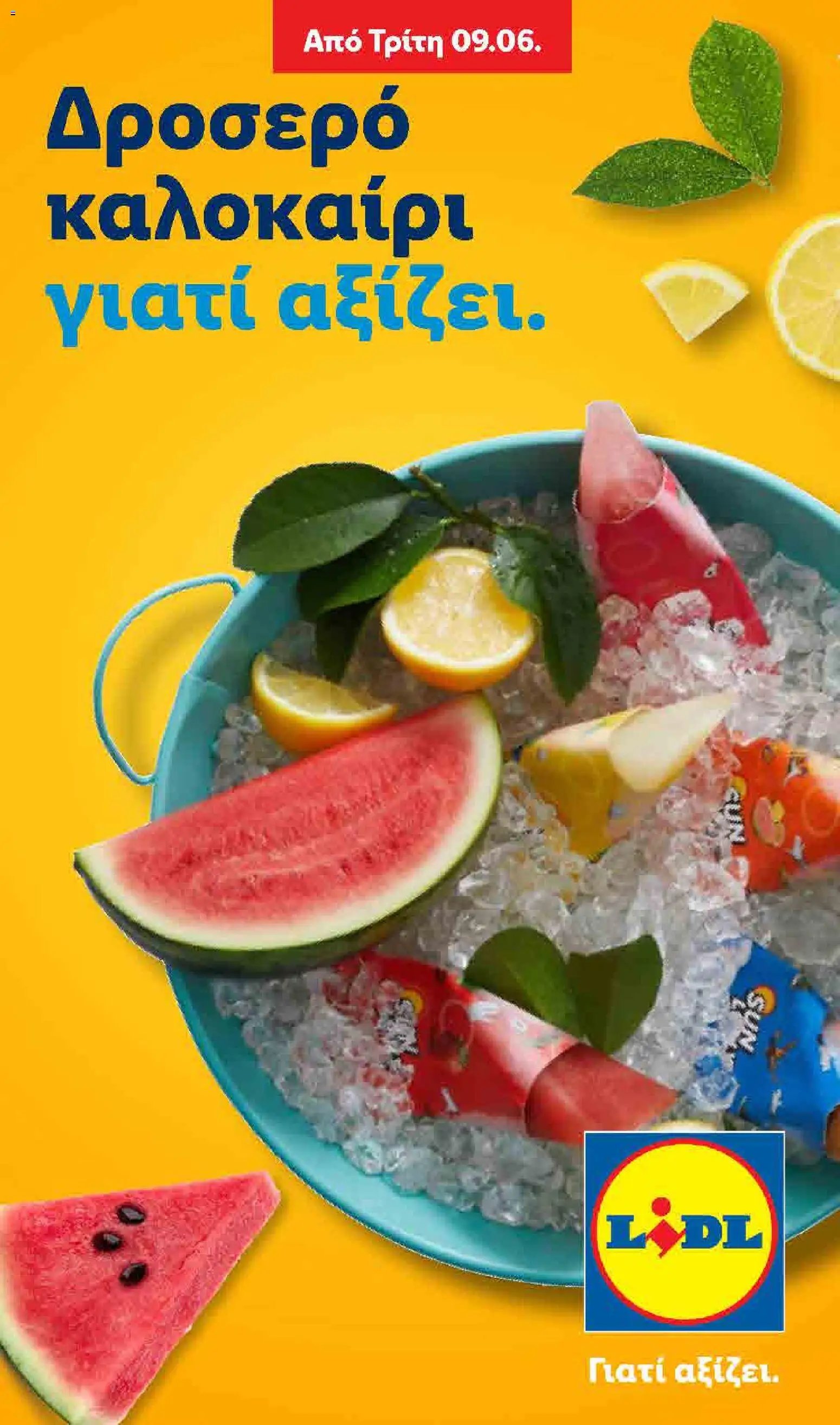 Lidl φυλλάδιο από 09/06/2026 Lidl - Summer Booklet