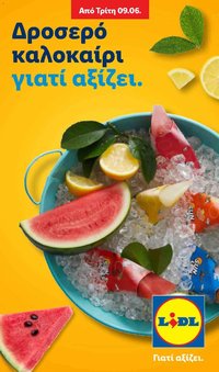 Lidl φυλλάδιο από 09/06/2026 Lidl - Summer Booklet