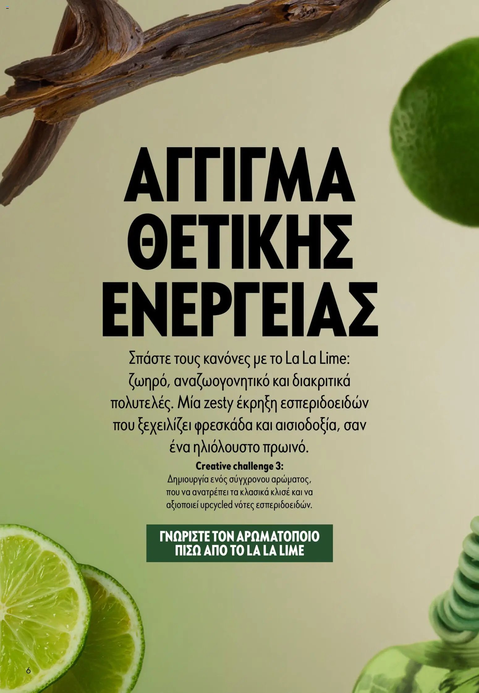 Oriflame φυλλάδιο από 05/08/2026 Oriflame - Kατάλογος 11/2026