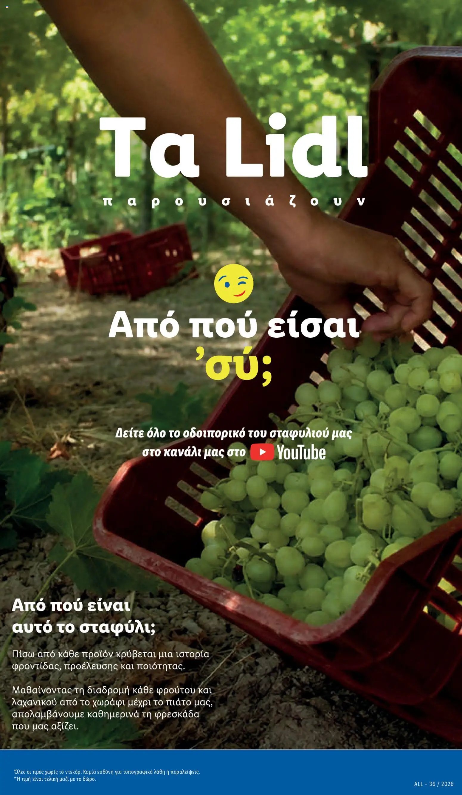Lidl φυλλάδιο από 08/10/2026 Lidl - Προσφορές