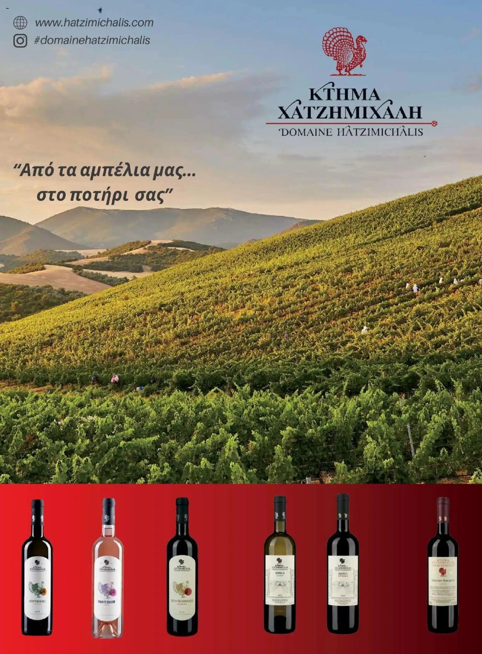 Μασούτης φυλλάδιο από 10/11/2025 Μασούτης - Χειμώνας - Γεύσεις & εμπνεύσεις (2025-11-10 - 2026-12-31)