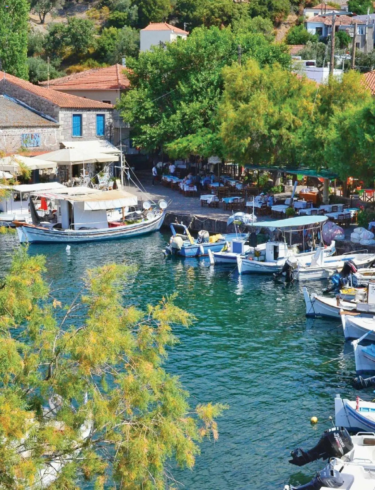 Manessis φυλλάδιο από 01/12/2023 Kατάλογος ΓΙΟΡΤΕΣ ΣΤΗΝ ΕΛΛΑΔΑ 2023-2024