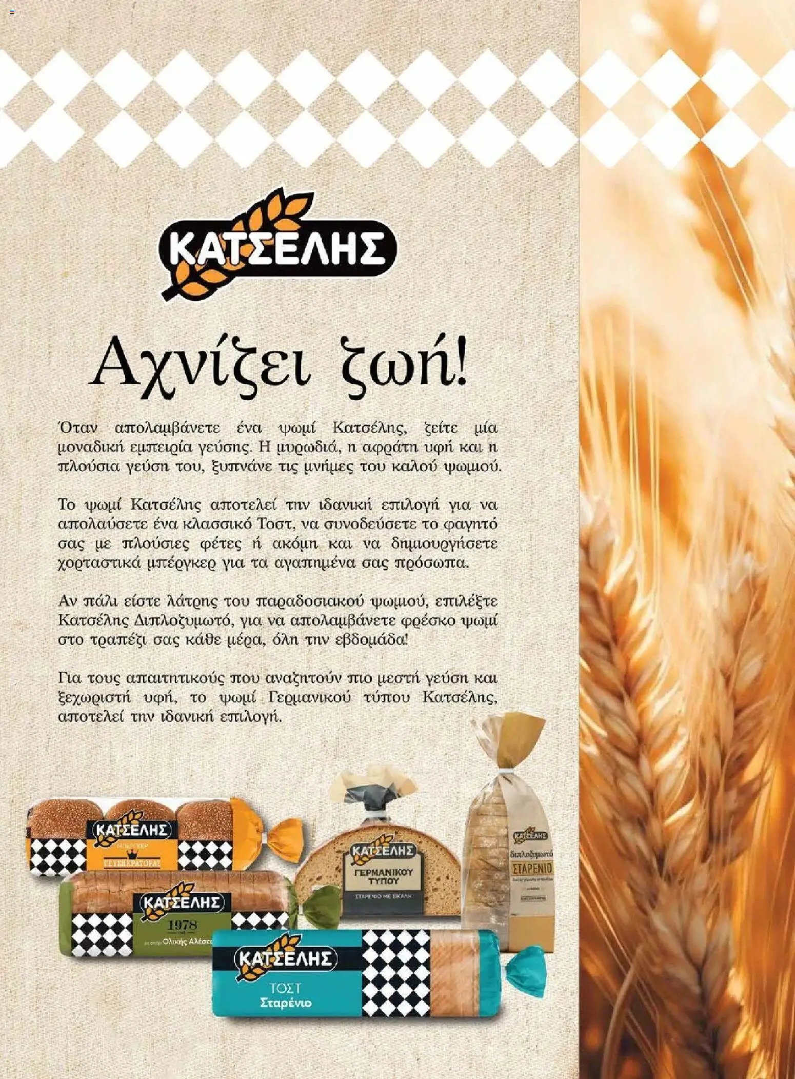 Μασούτης φυλλάδιο από 09/11/2025 Μασούτης - Φθινόπωρο - Γεύσεις & εμπνεύσεις (2025-11-09 - 2026-12-31)