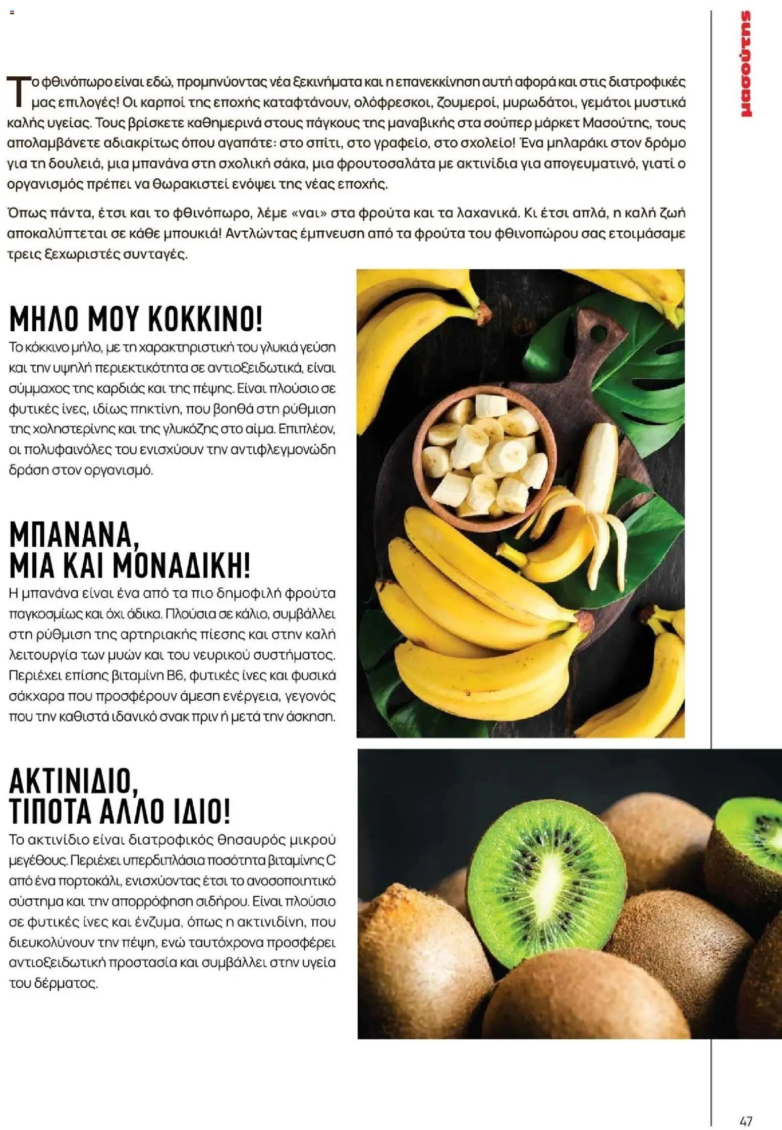 Μασούτης φυλλάδιο από 09/11/2025 Μασούτης - Φθινόπωρο - Γεύσεις & εμπνεύσεις (2025-11-09 - 2026-12-31)