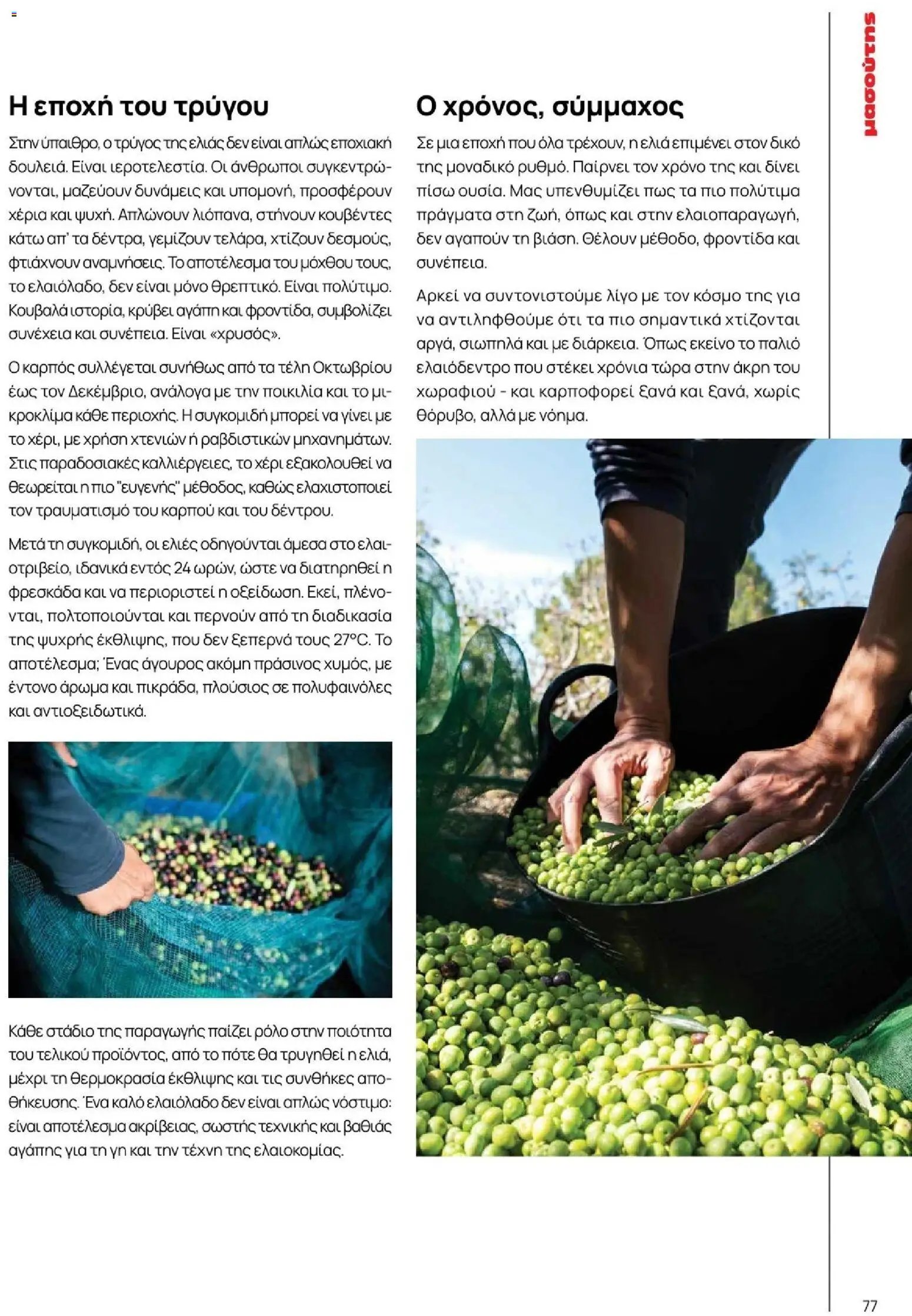 Μασούτης φυλλάδιο από 09/11/2025 Μασούτης - Φθινόπωρο - Γεύσεις & εμπνεύσεις (2025-11-09 - 2026-12-31)